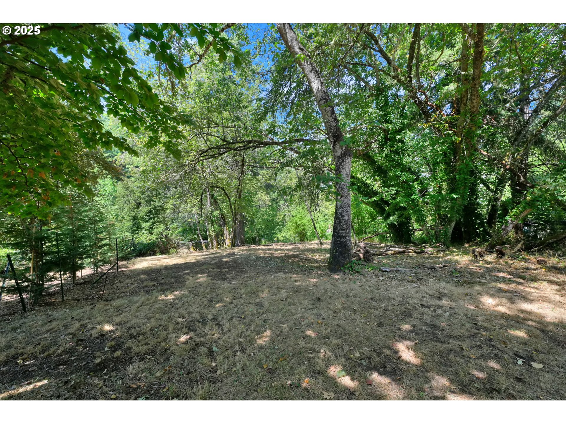 2 Storey Blvd Property Photo 5