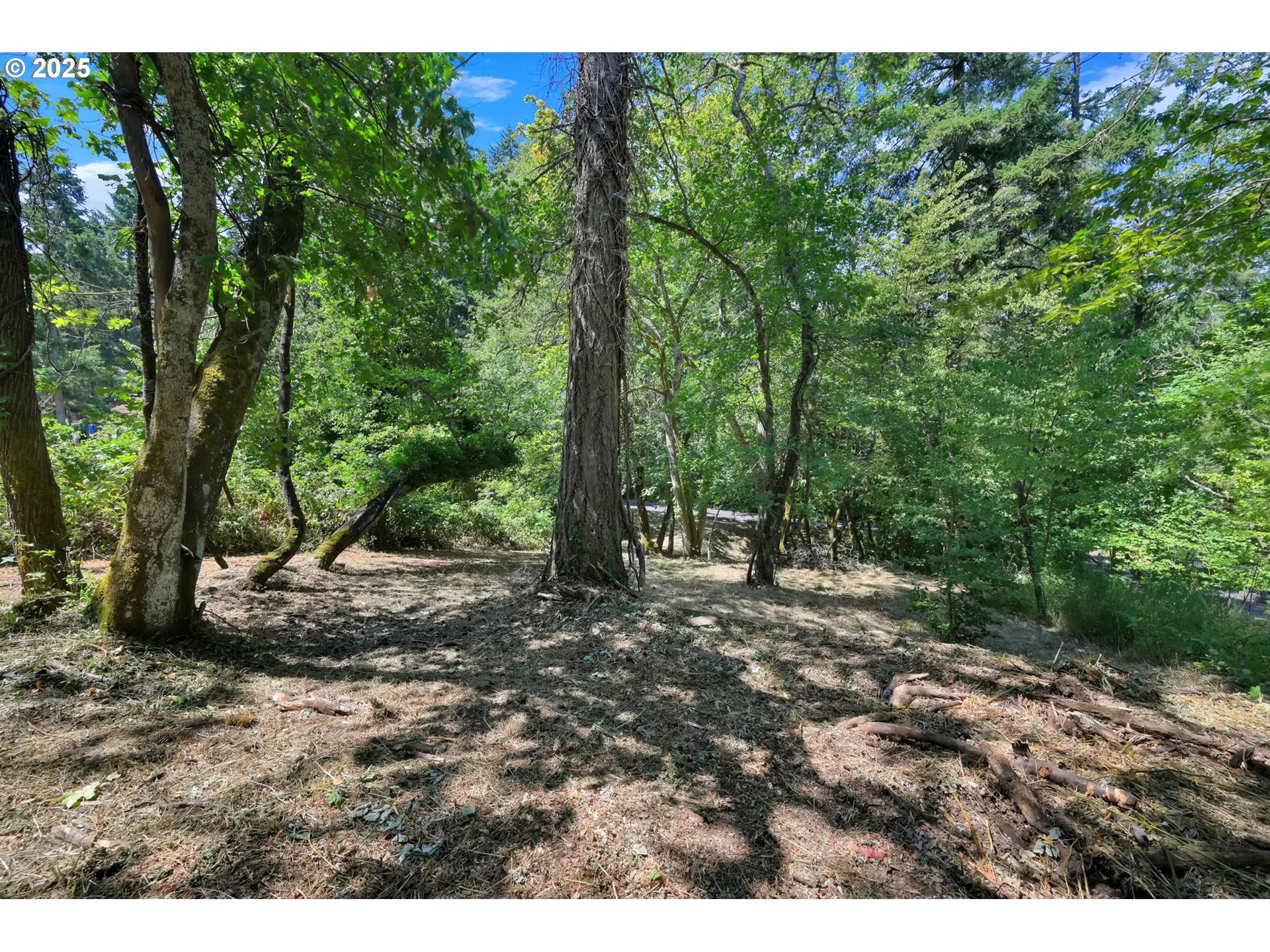 2 Storey Blvd Property Photo 6