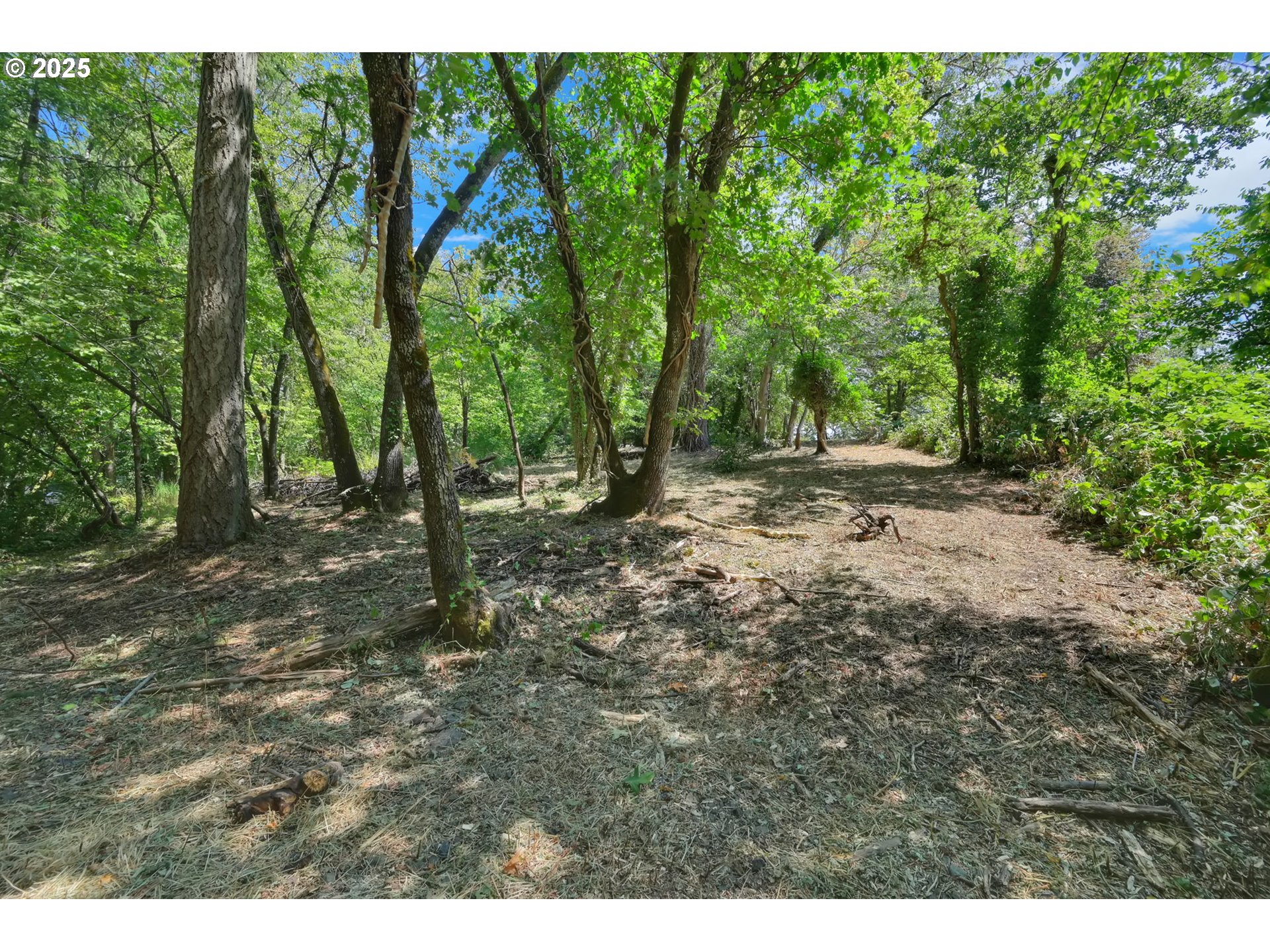 2 Storey Blvd Property Photo 7