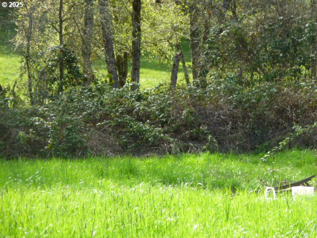 765 Tunnel Rd Property Photo 6