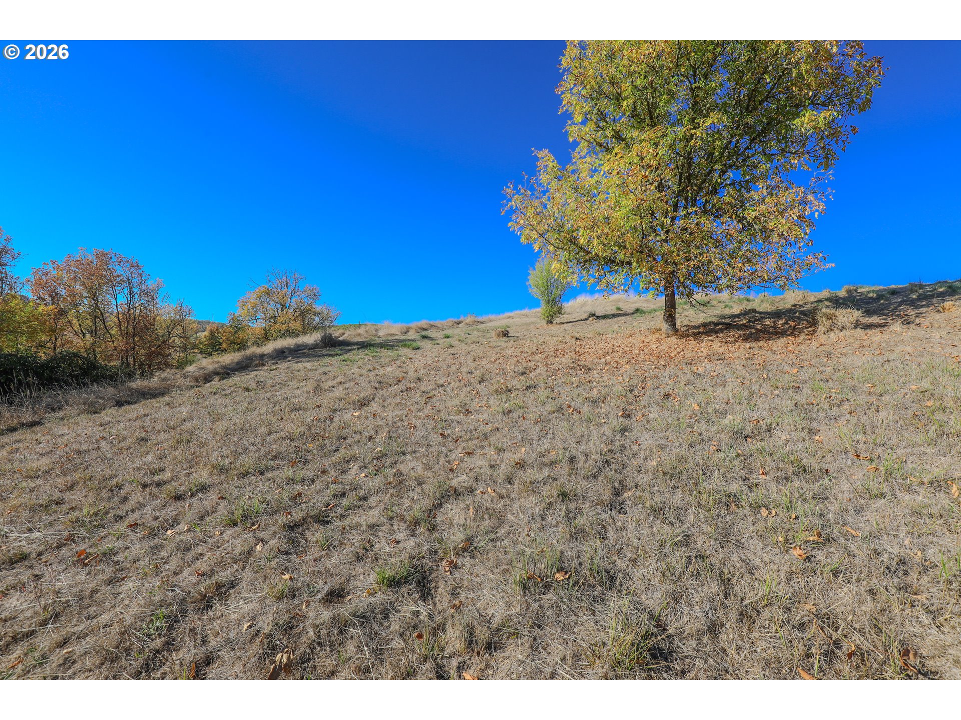 2700 Brockway Rd Property Photo 13