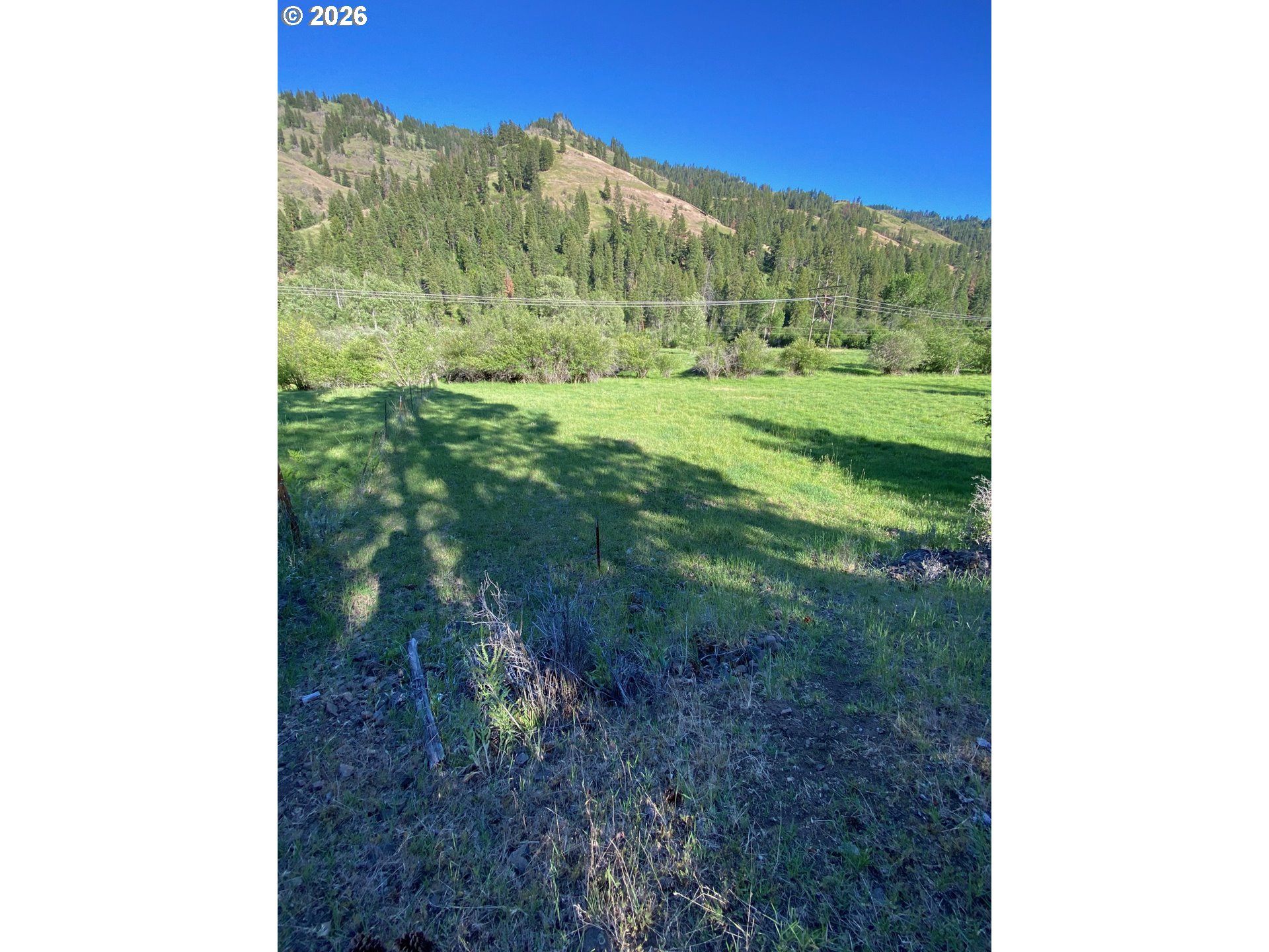195 Appaloosa Property Photo 4