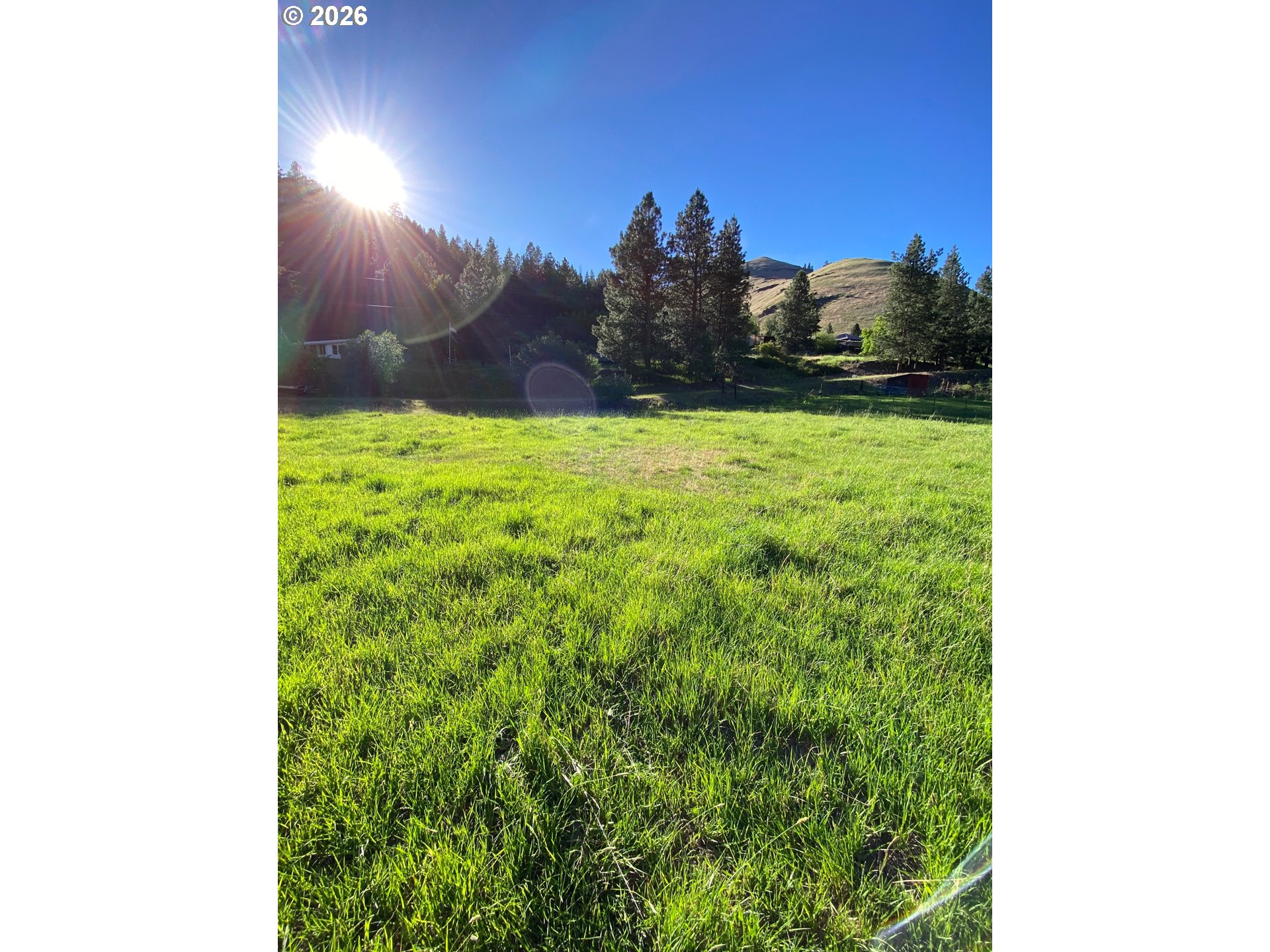 195 Appaloosa Property Photo 8