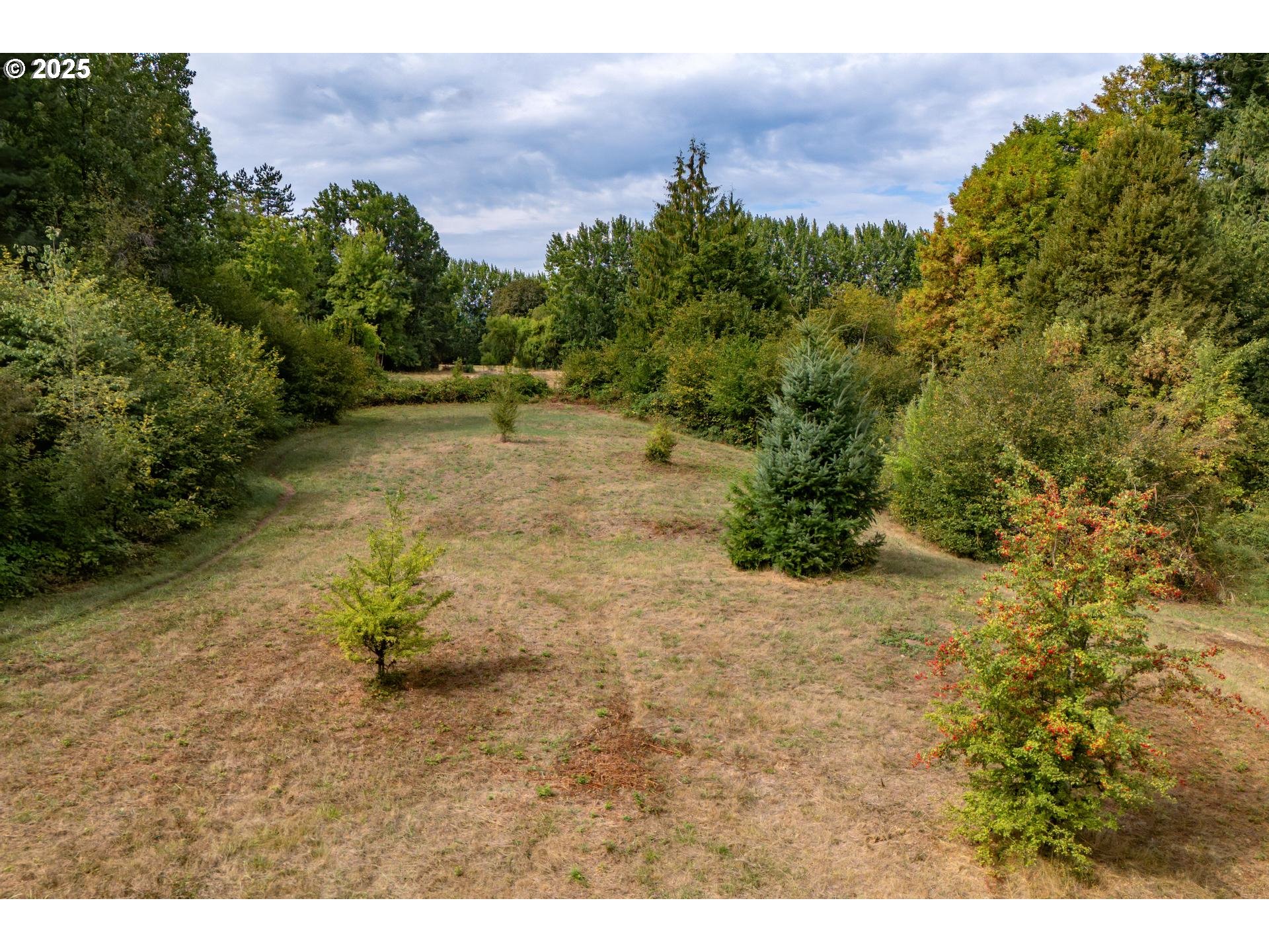 Bennet Rd Property Photo 12