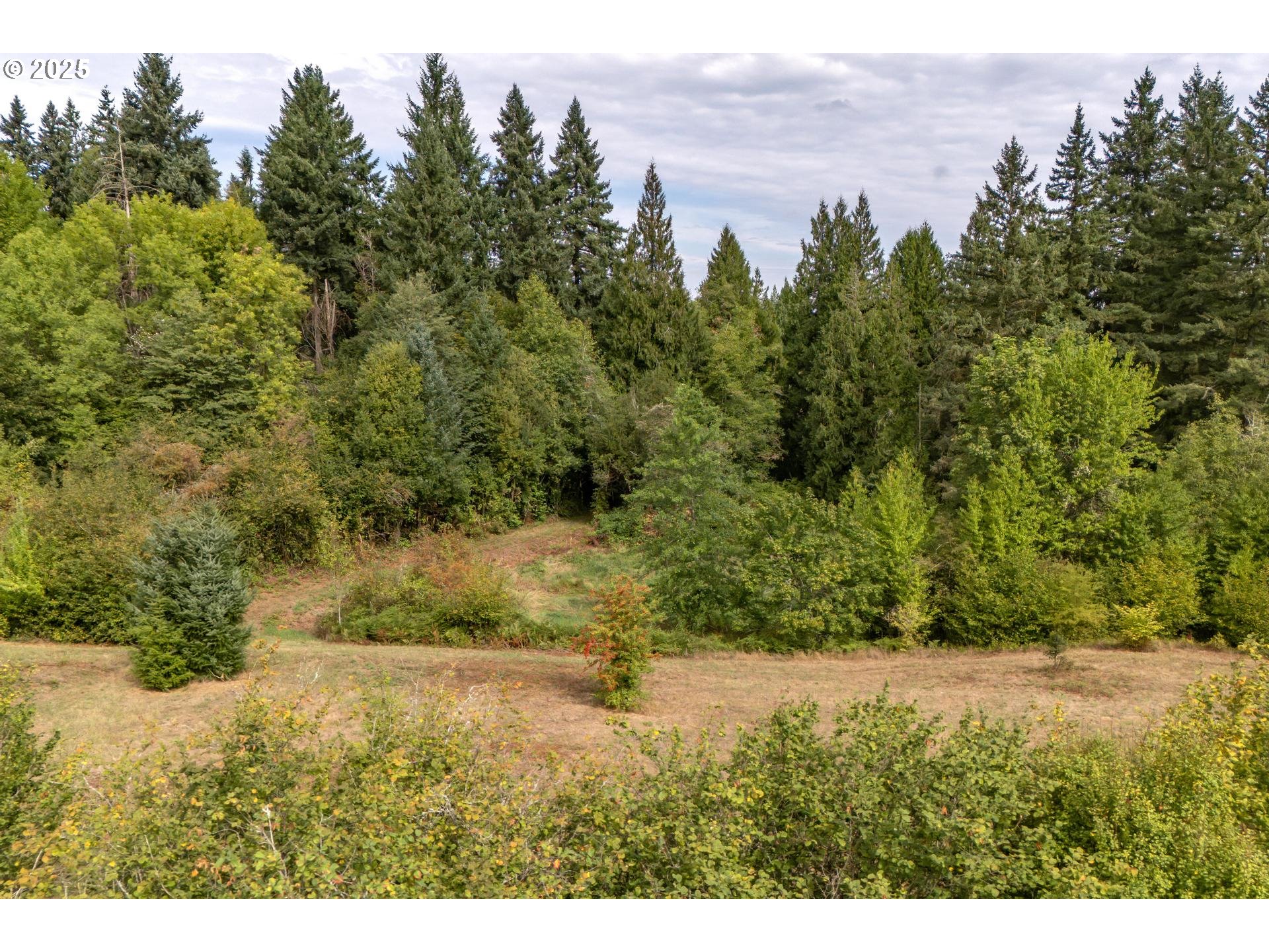 Bennet Rd Property Photo 16