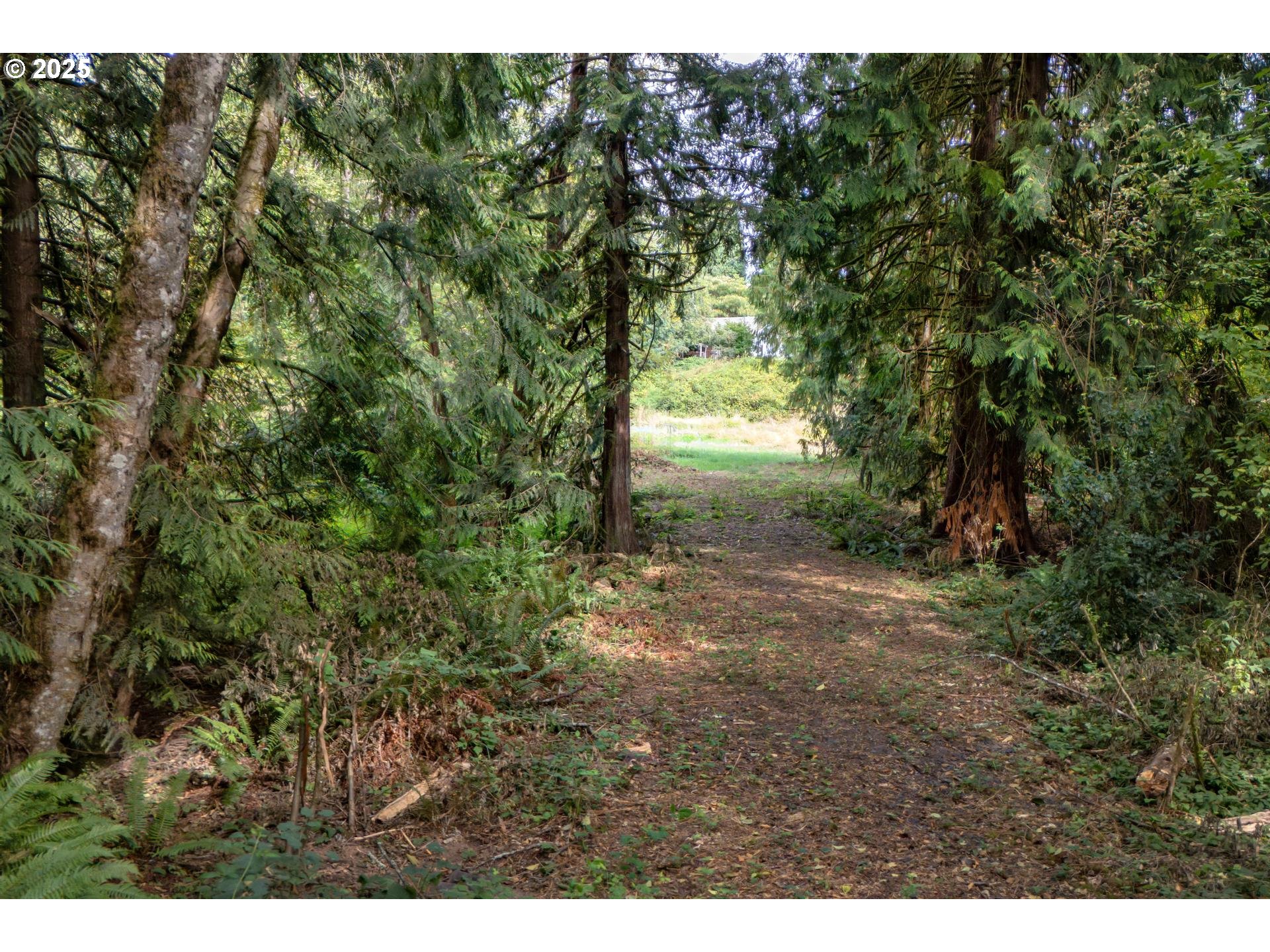Bennet Rd Property Photo 19