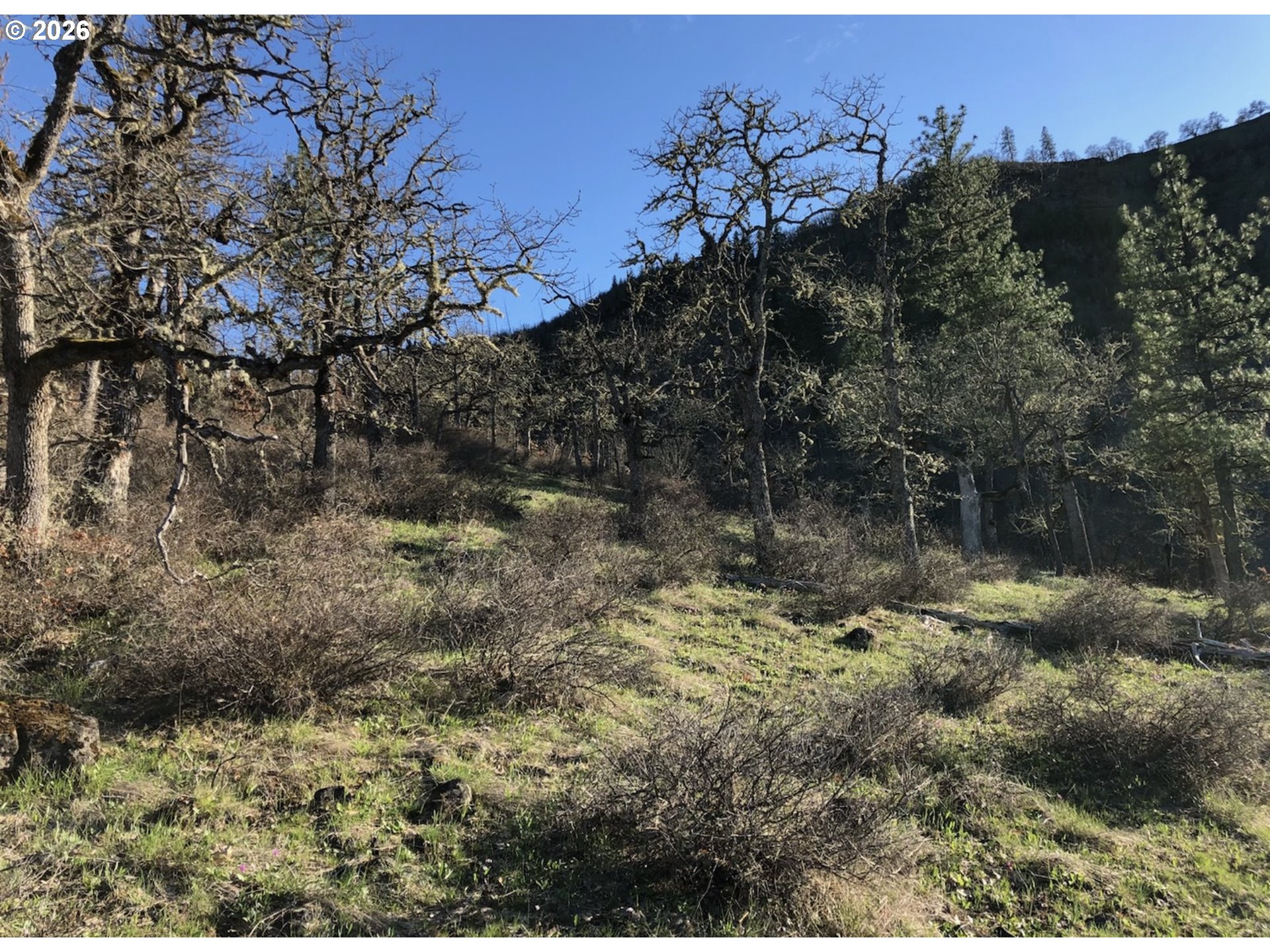Lot At Wahkiacus Property Photo 2