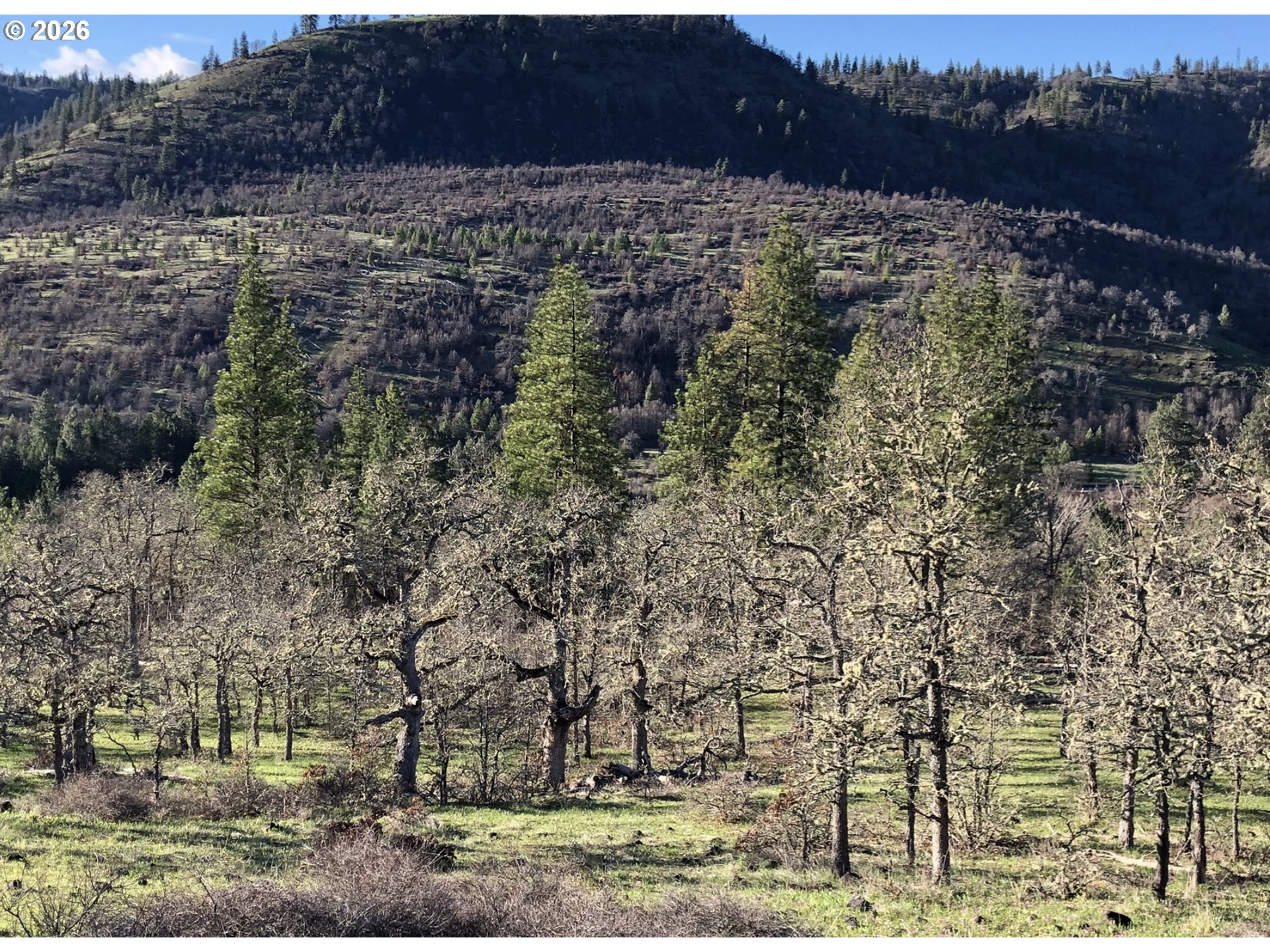 Lot At Wahkiacus Property Photo 3