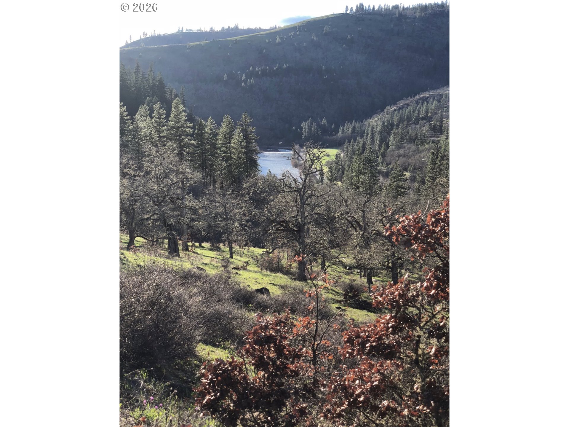 Lot At Wahkiacus Property Photo 6