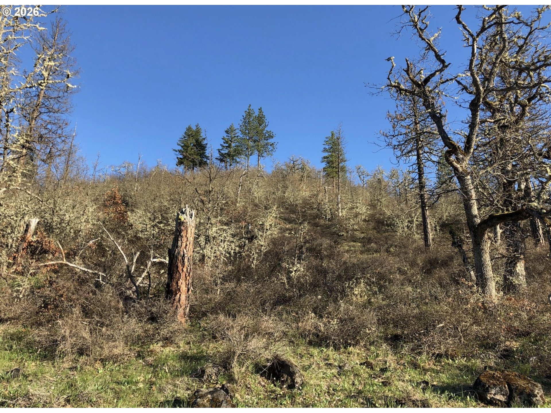 Lot At Wahkiacus Property Photo 8