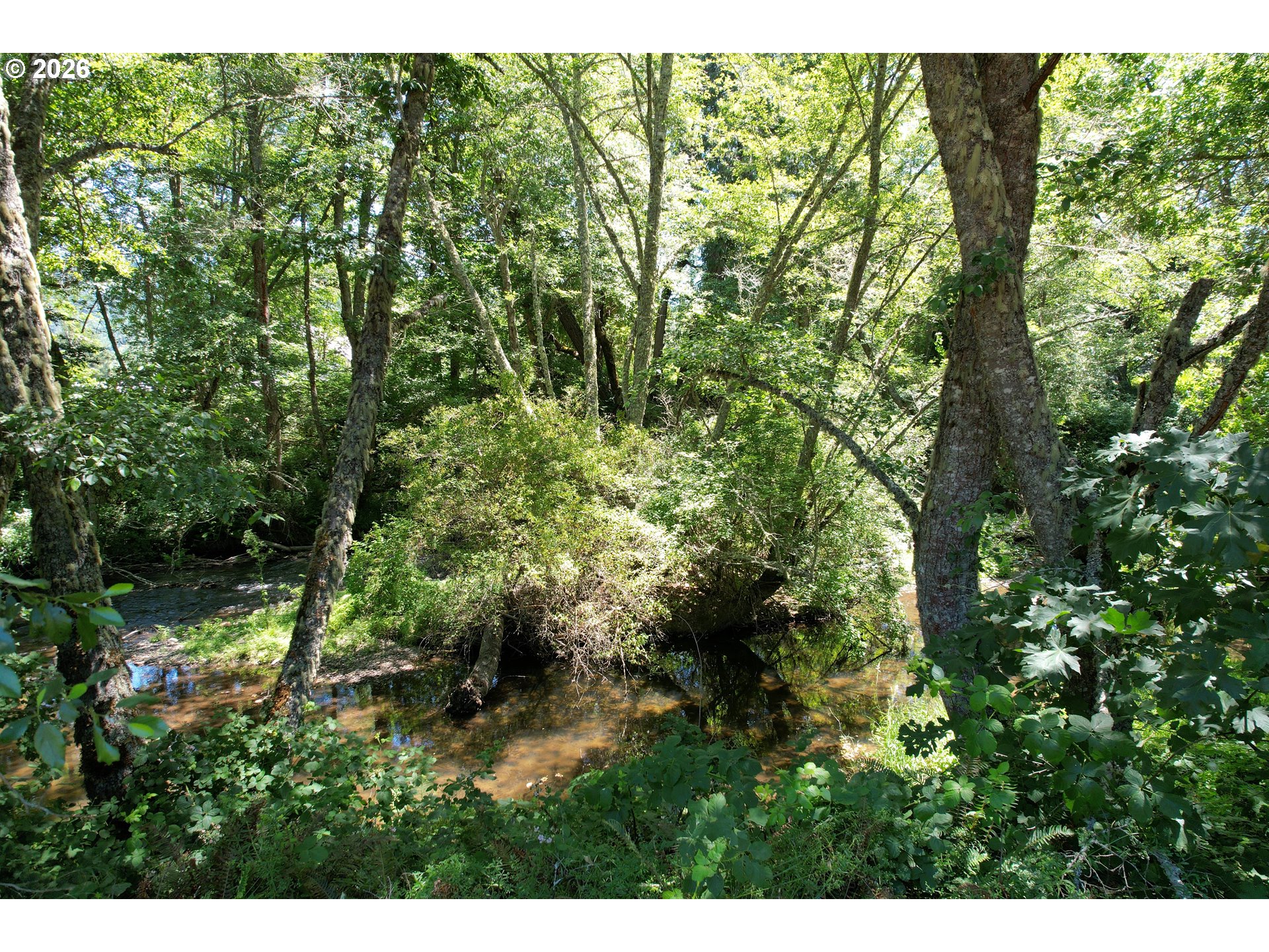 1545 Upper Cow Creek Rd Property Photo 37