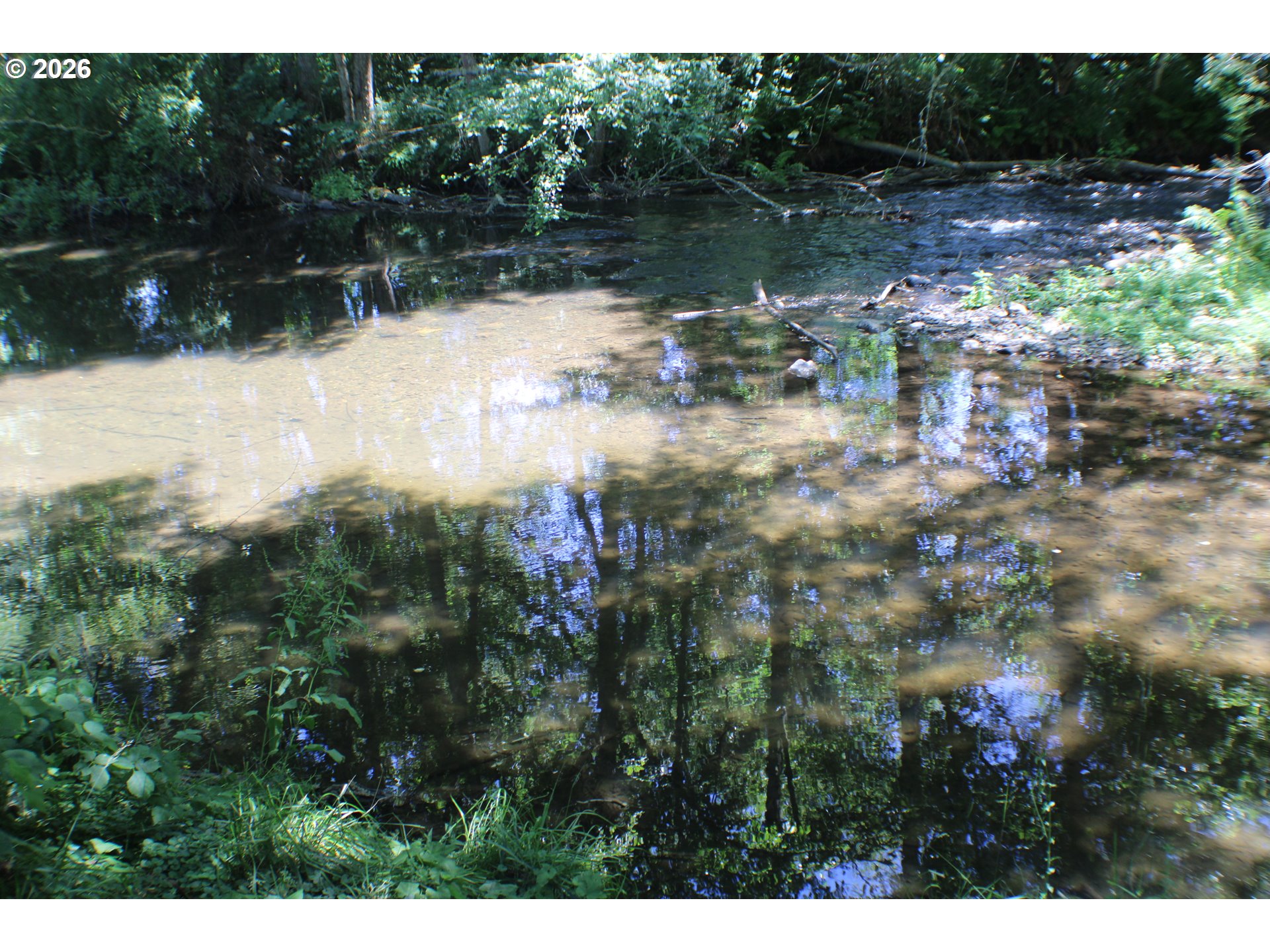 1545 Upper Cow Creek Rd Property Photo 42