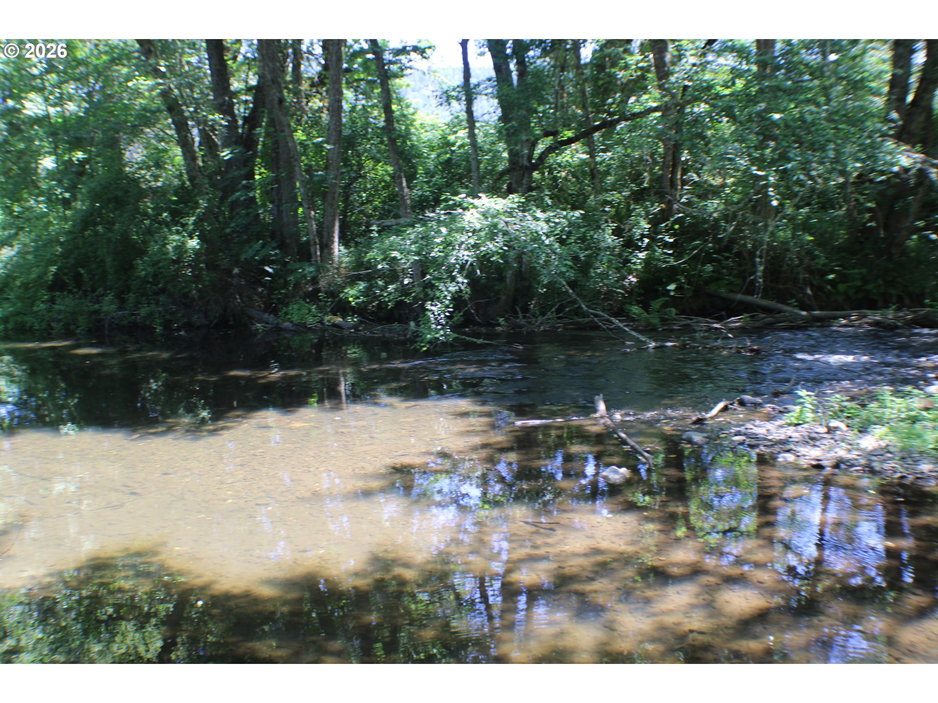 1545 Upper Cow Creek Rd Property Photo 43