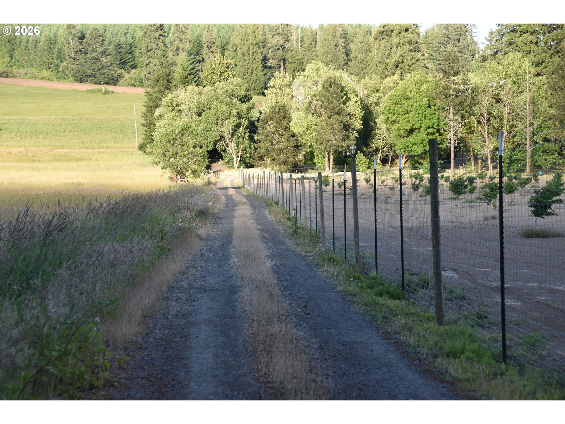 21090 Nw Dairy Creek Rd Property Photo 5