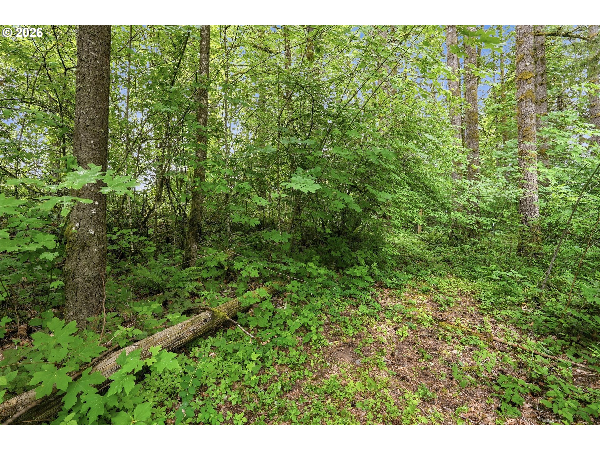 21090 Nw Dairy Creek Rd Property Photo 23
