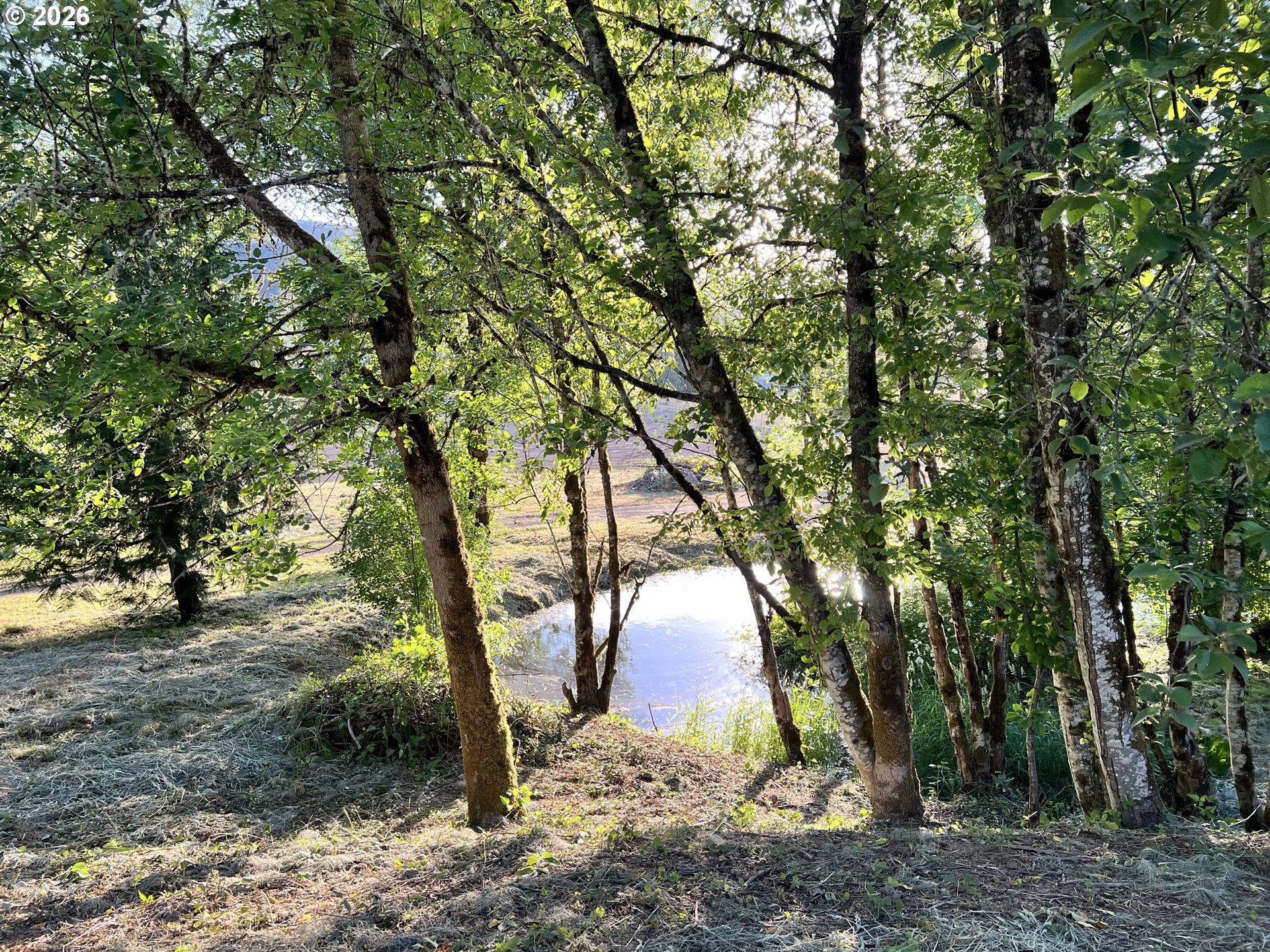 21090 Nw Dairy Creek Rd Property Photo 26