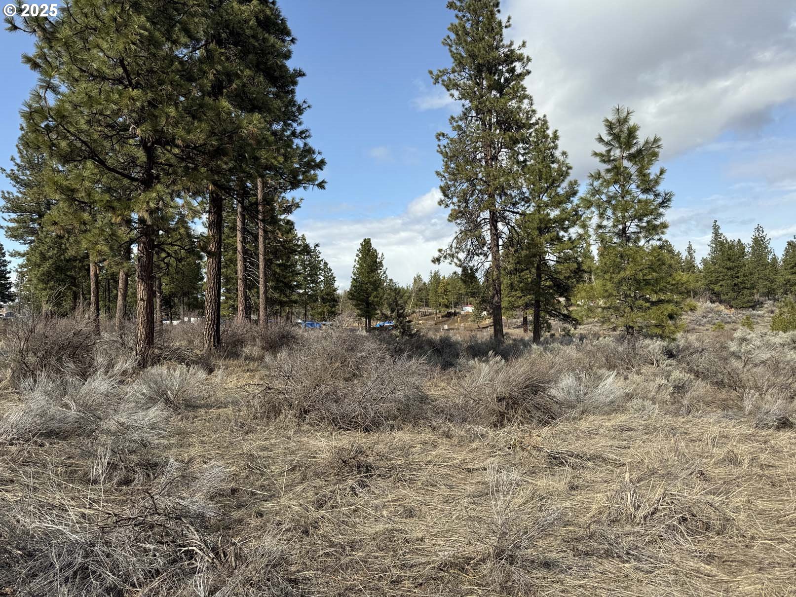 Copperfield Dr 5 Property Photo 2