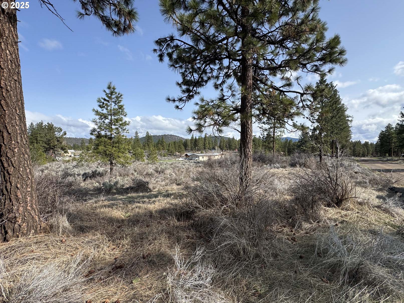 Copperfield Dr 5 Property Photo 18