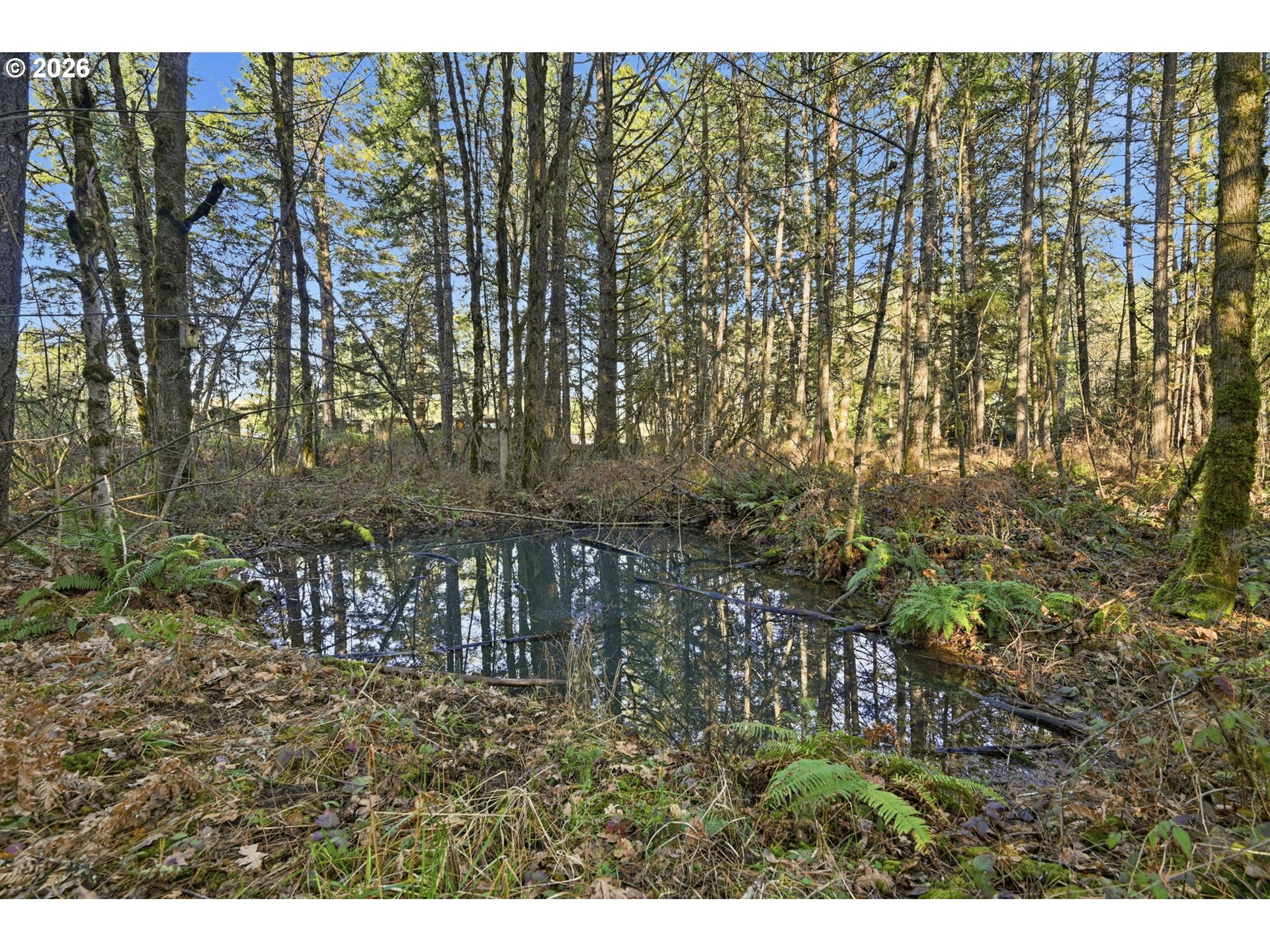 88866 Evers Rd Property Photo 37