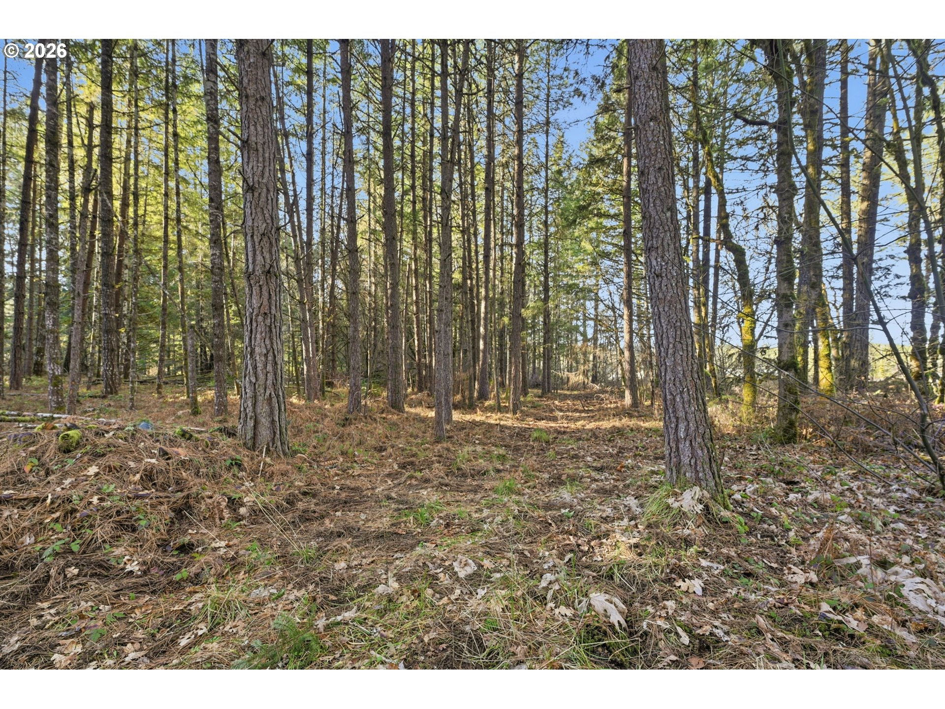 88866 Evers Rd Property Photo 38