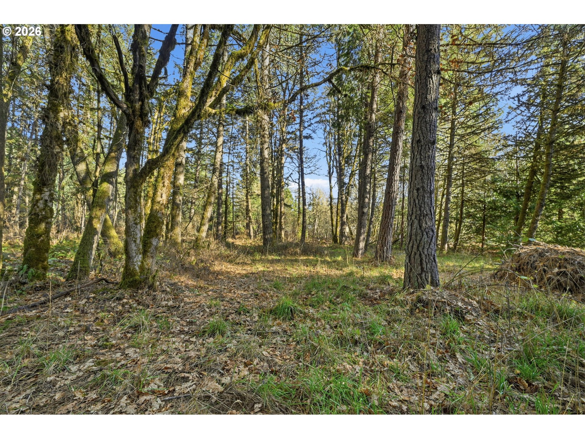 88866 Evers Rd Property Photo 39