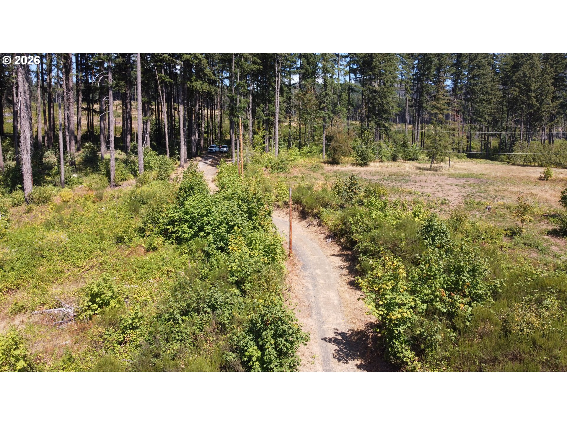 25812 Dewitt Ln Property Photo 3
