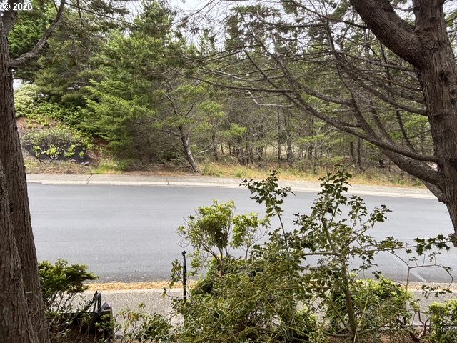 Lot 17 Shoreline Dr. Property Photo 5