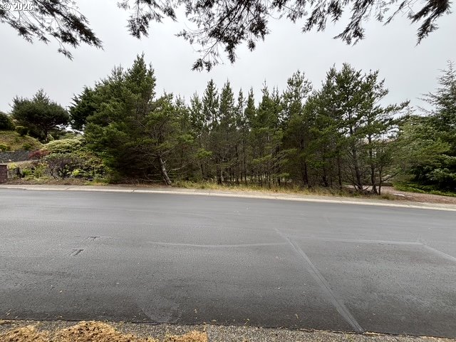 Lot 17 Shoreline Dr. Property Photo 6