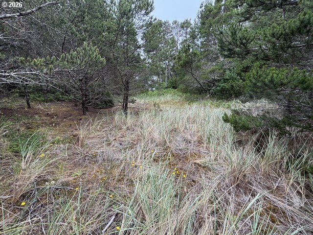 Lot 17 Shoreline Dr. Property Photo 9