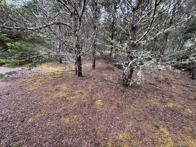 Lot 17 Shoreline Dr. Property Photo 10