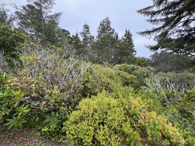 Lot 17 Shoreline Dr. Property Photo 11
