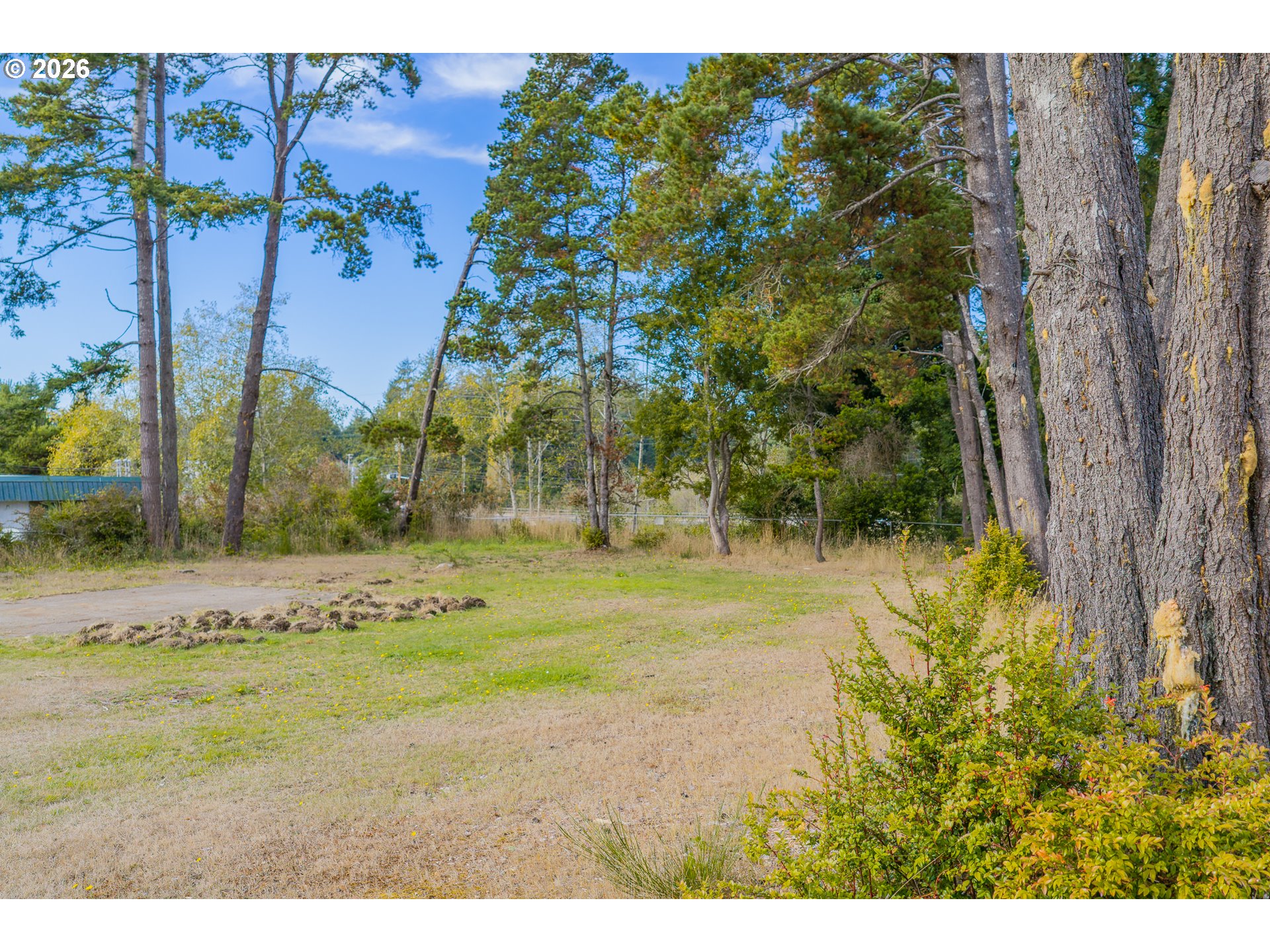 1848 Thomas Ave Property Photo 33