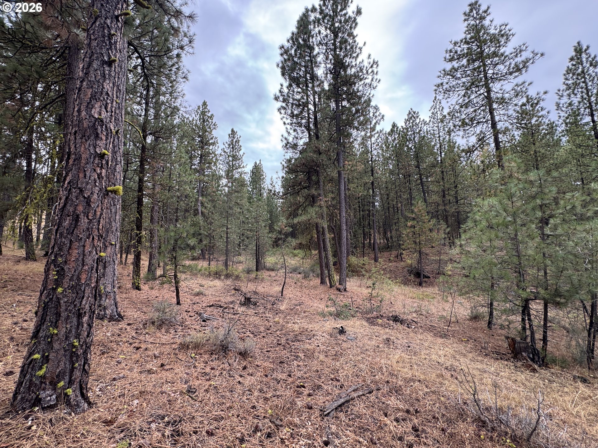 Fireline Property Photo 2
