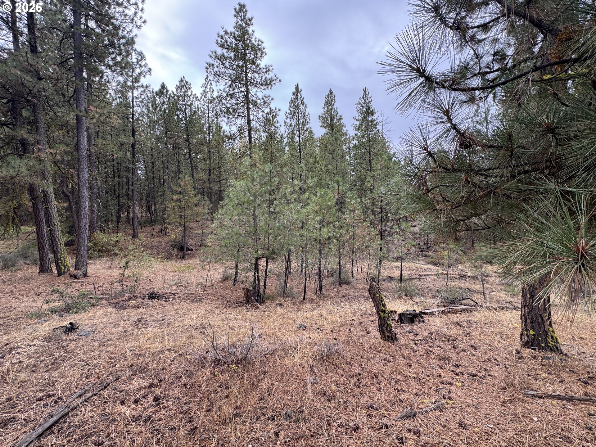 Fireline Property Photo 3