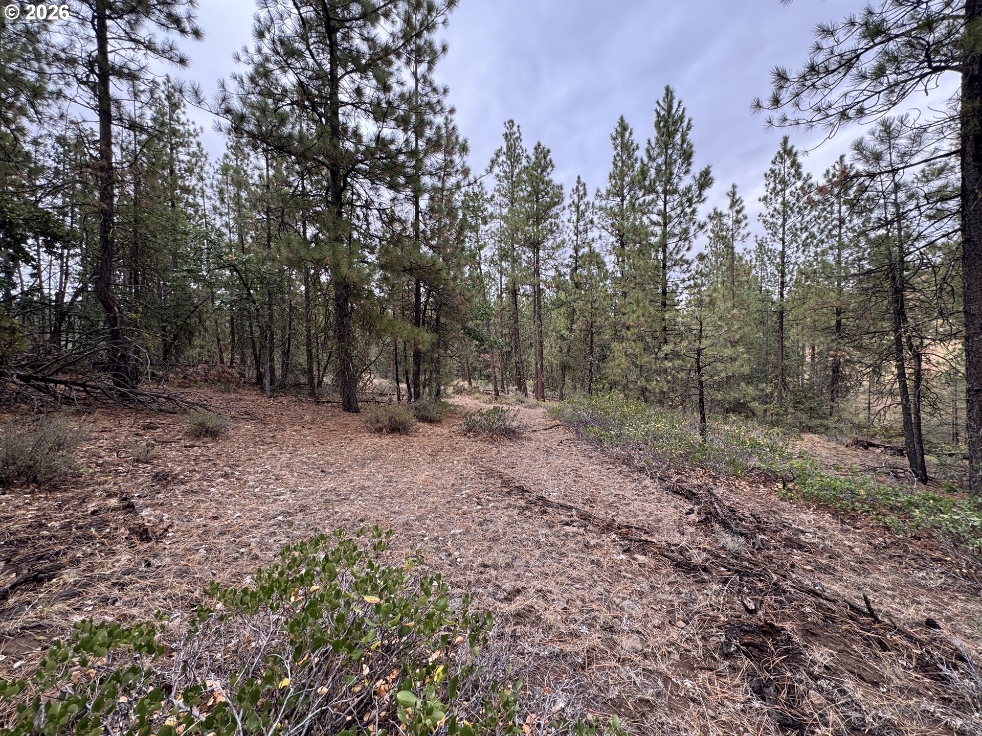 Fireline Property Photo 5