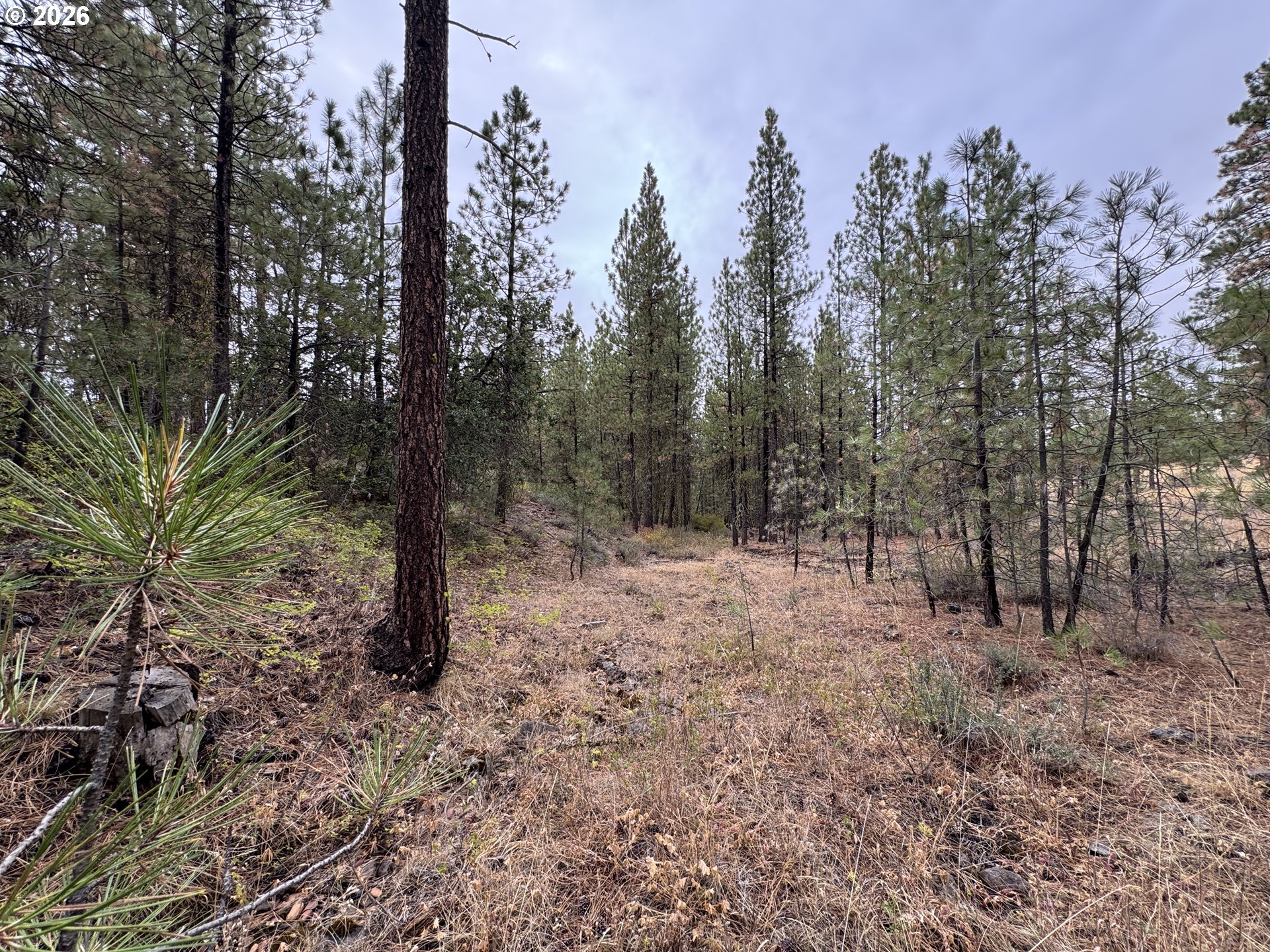 Fireline Property Photo 6