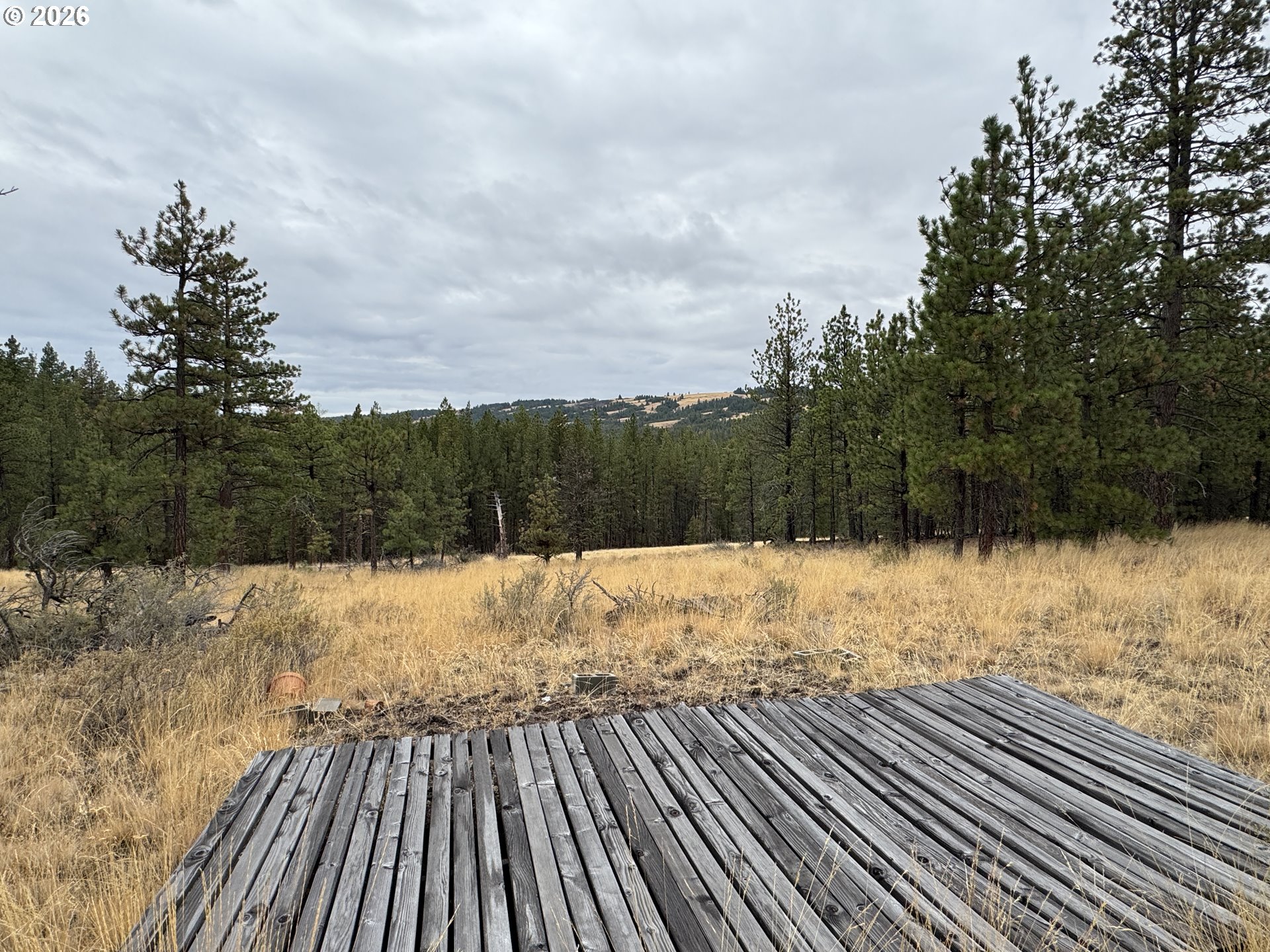 Fireline Property Photo 7