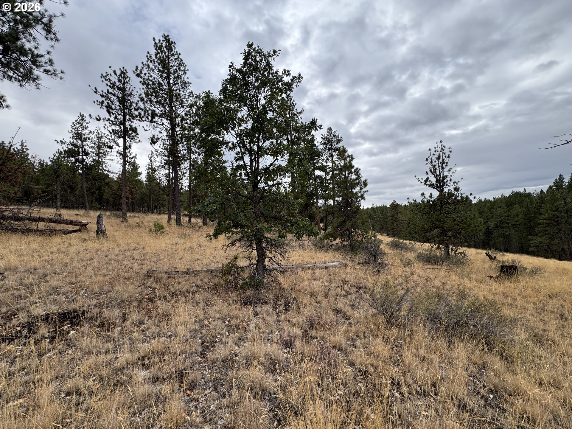 Fireline Property Photo 8