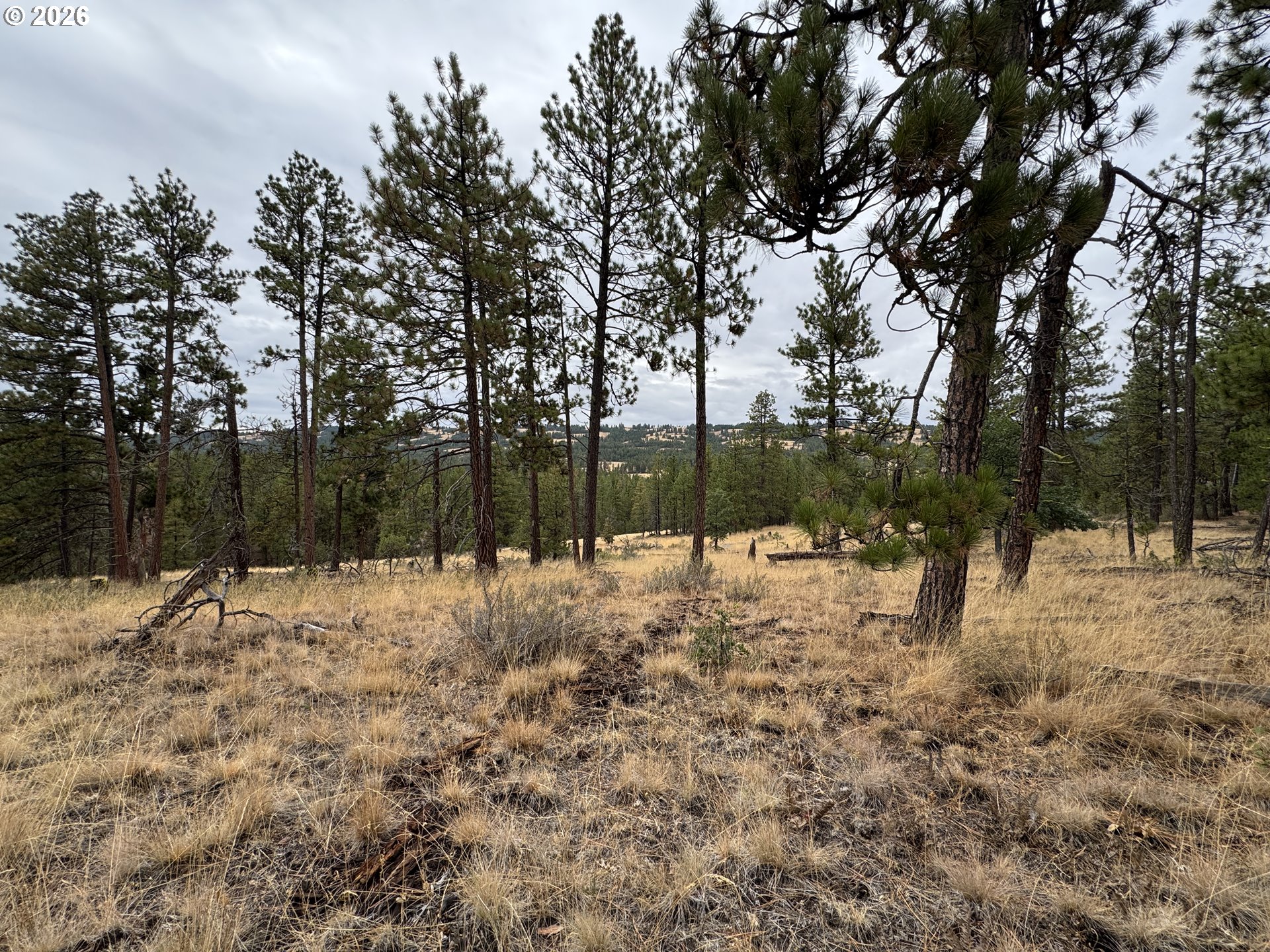 Fireline Property Photo 9