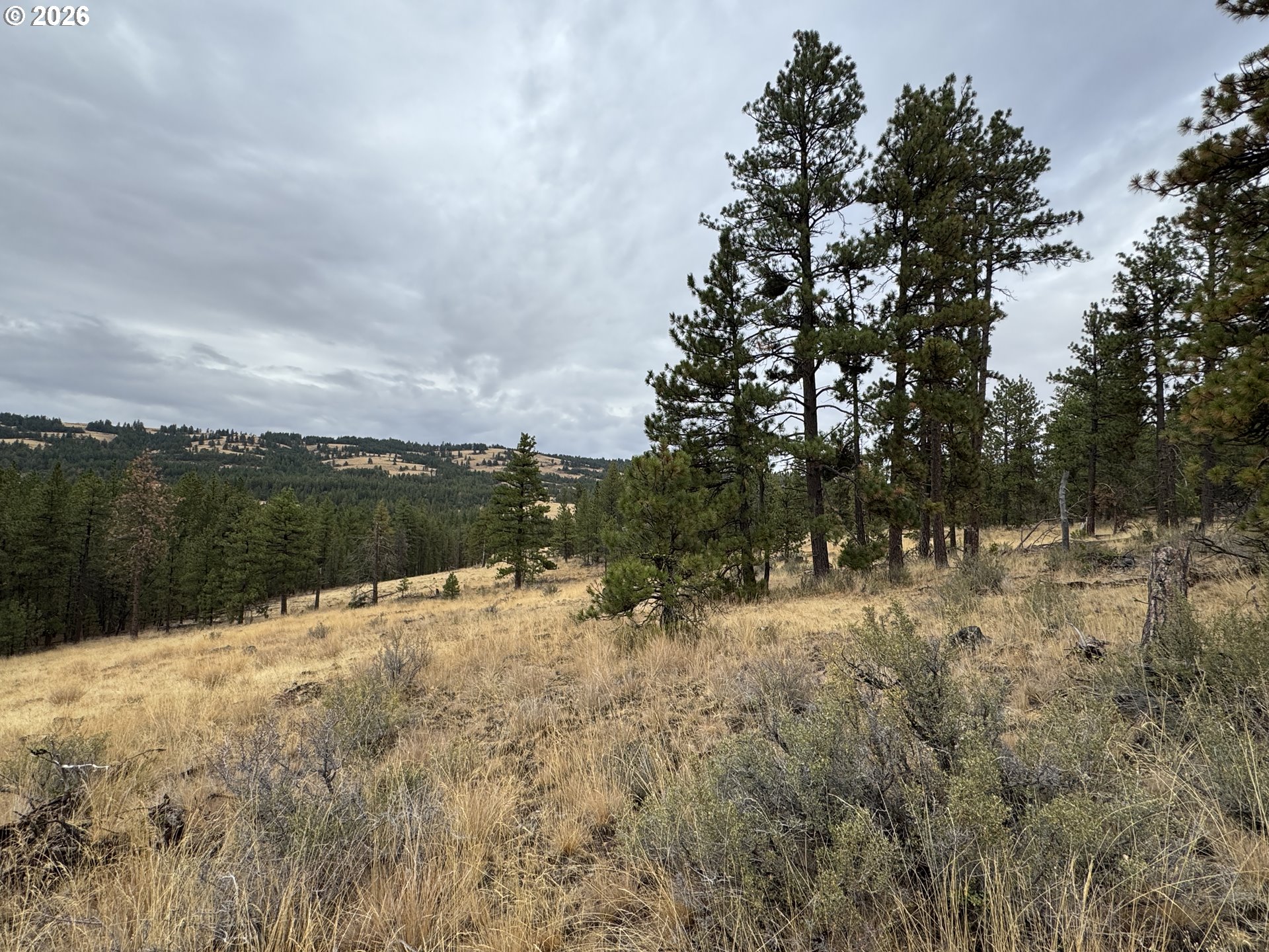 Fireline Property Photo 10