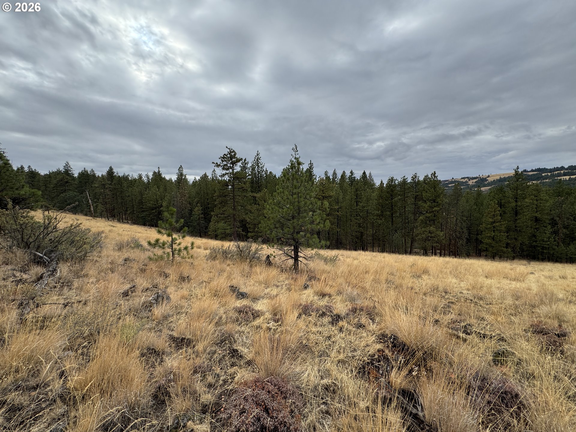Fireline Property Photo 11