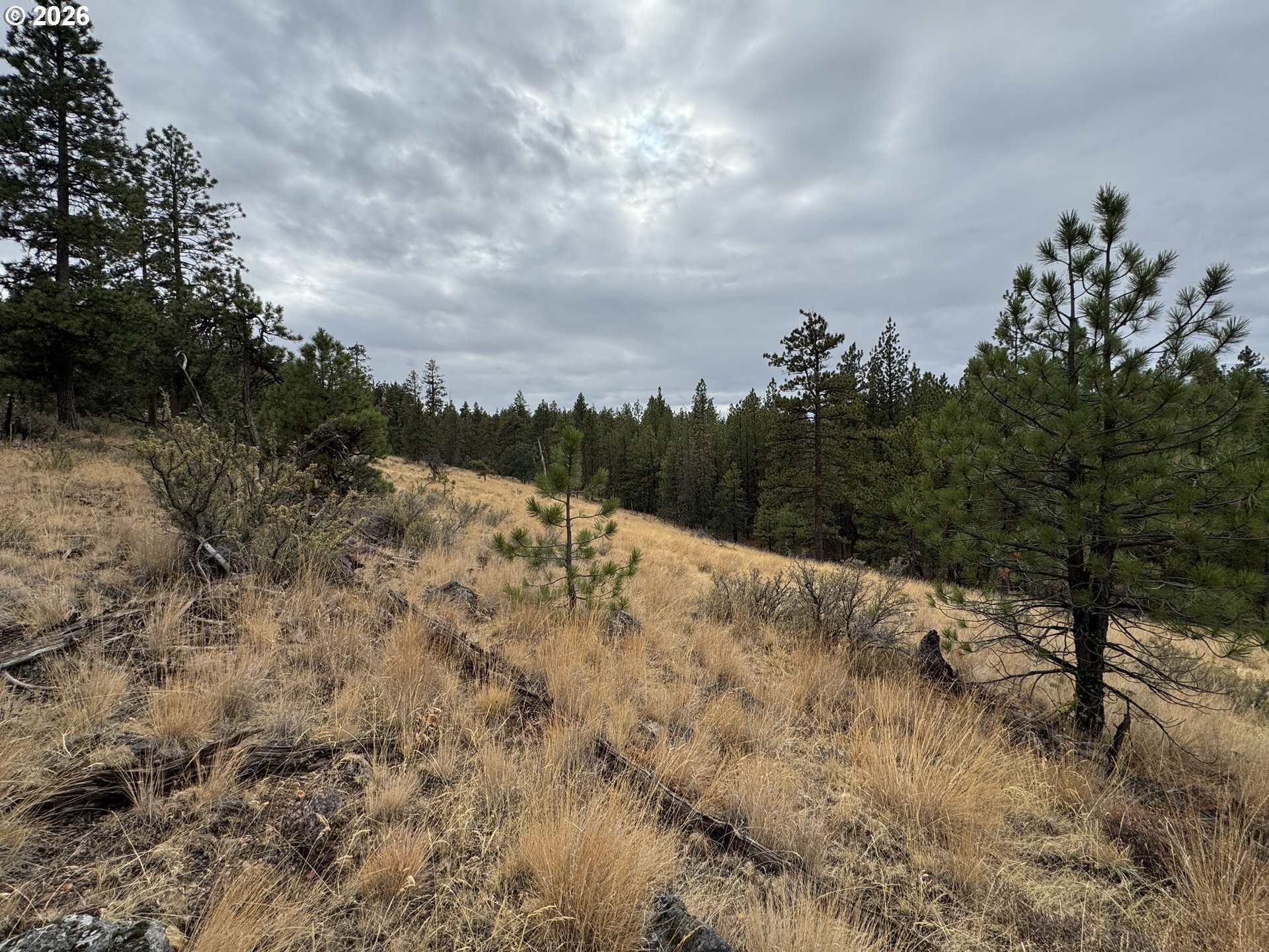 Fireline Property Photo 12