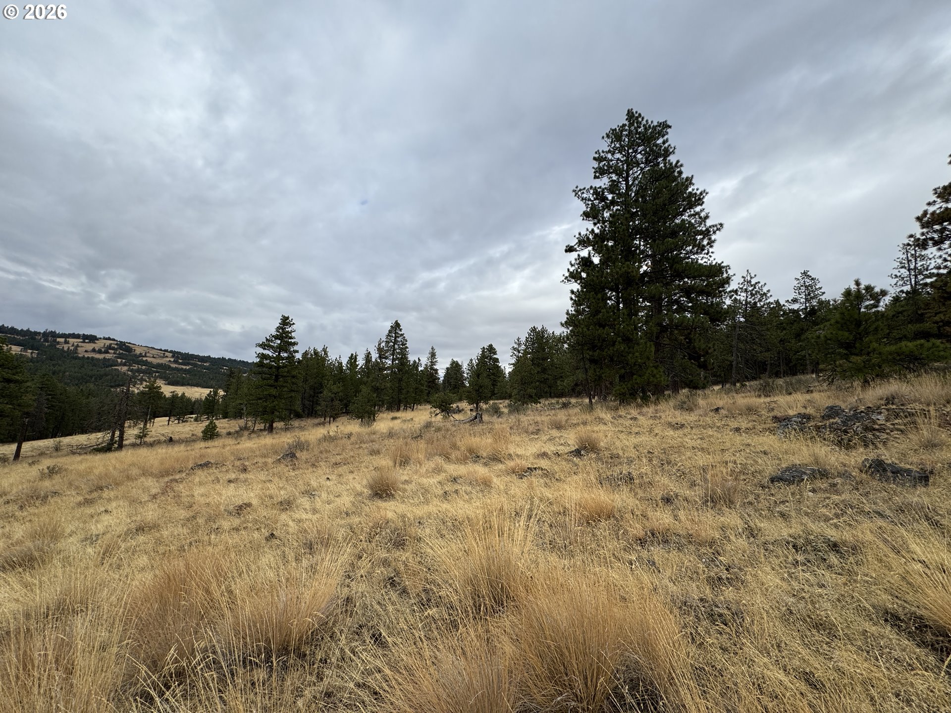 Fireline Property Photo 13