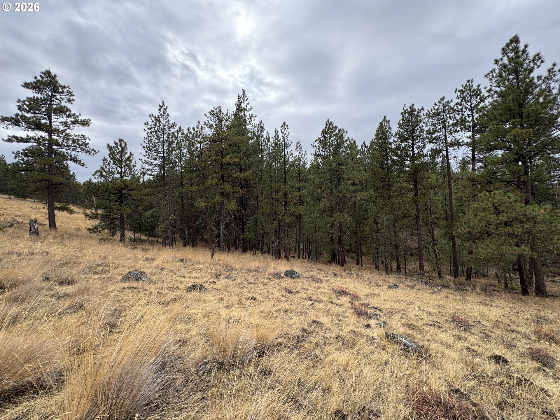 Fireline Property Photo 14