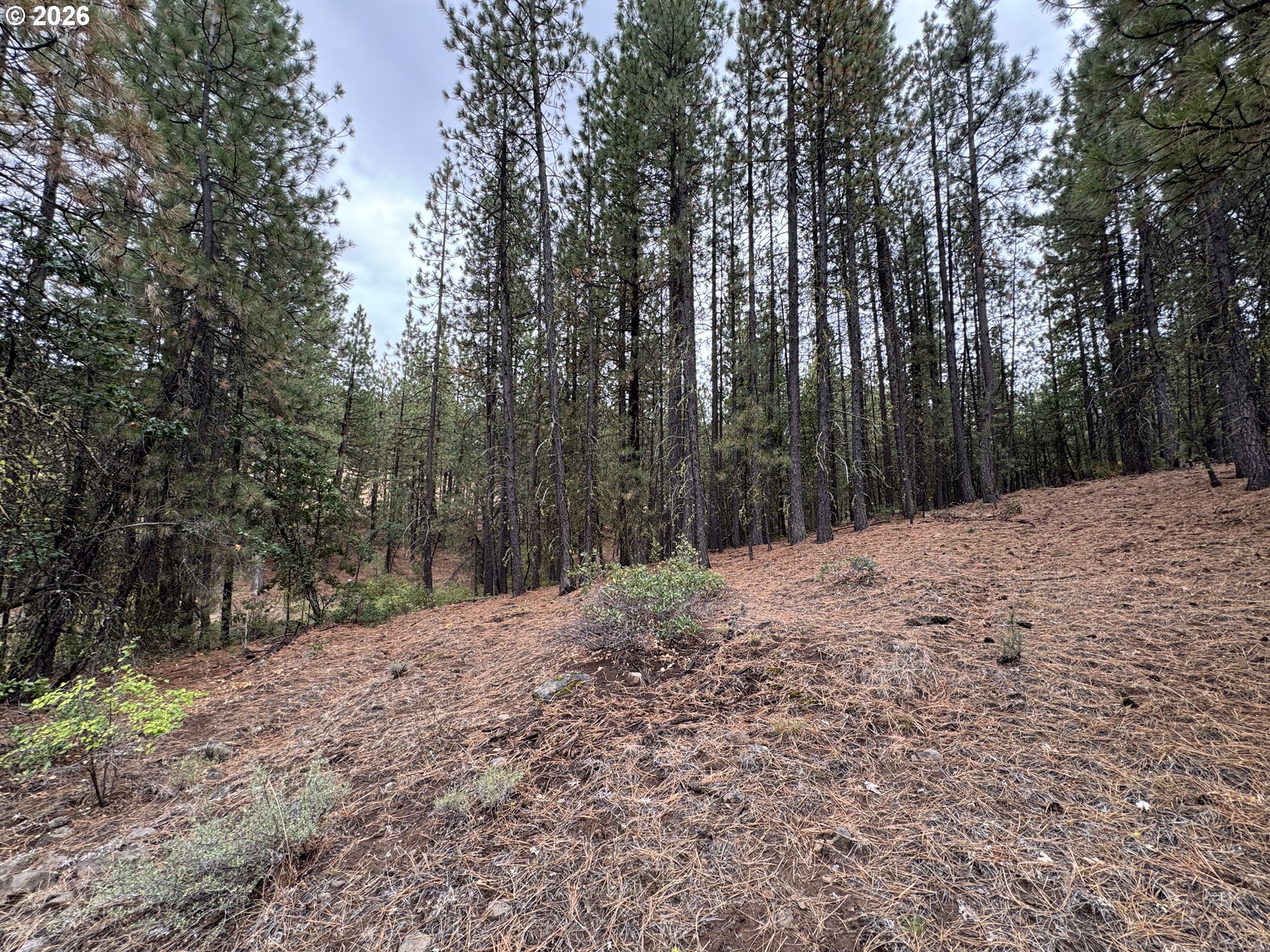 Fireline Property Photo 15