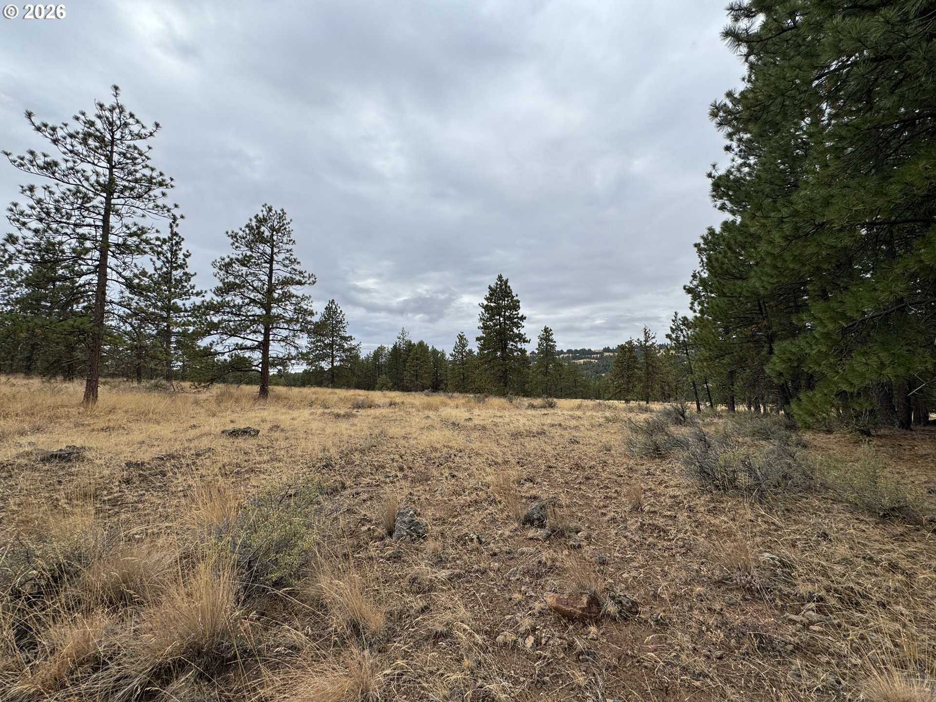 Fireline Property Photo 17