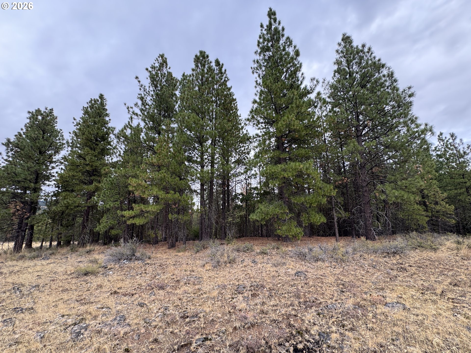Fireline Property Photo 18