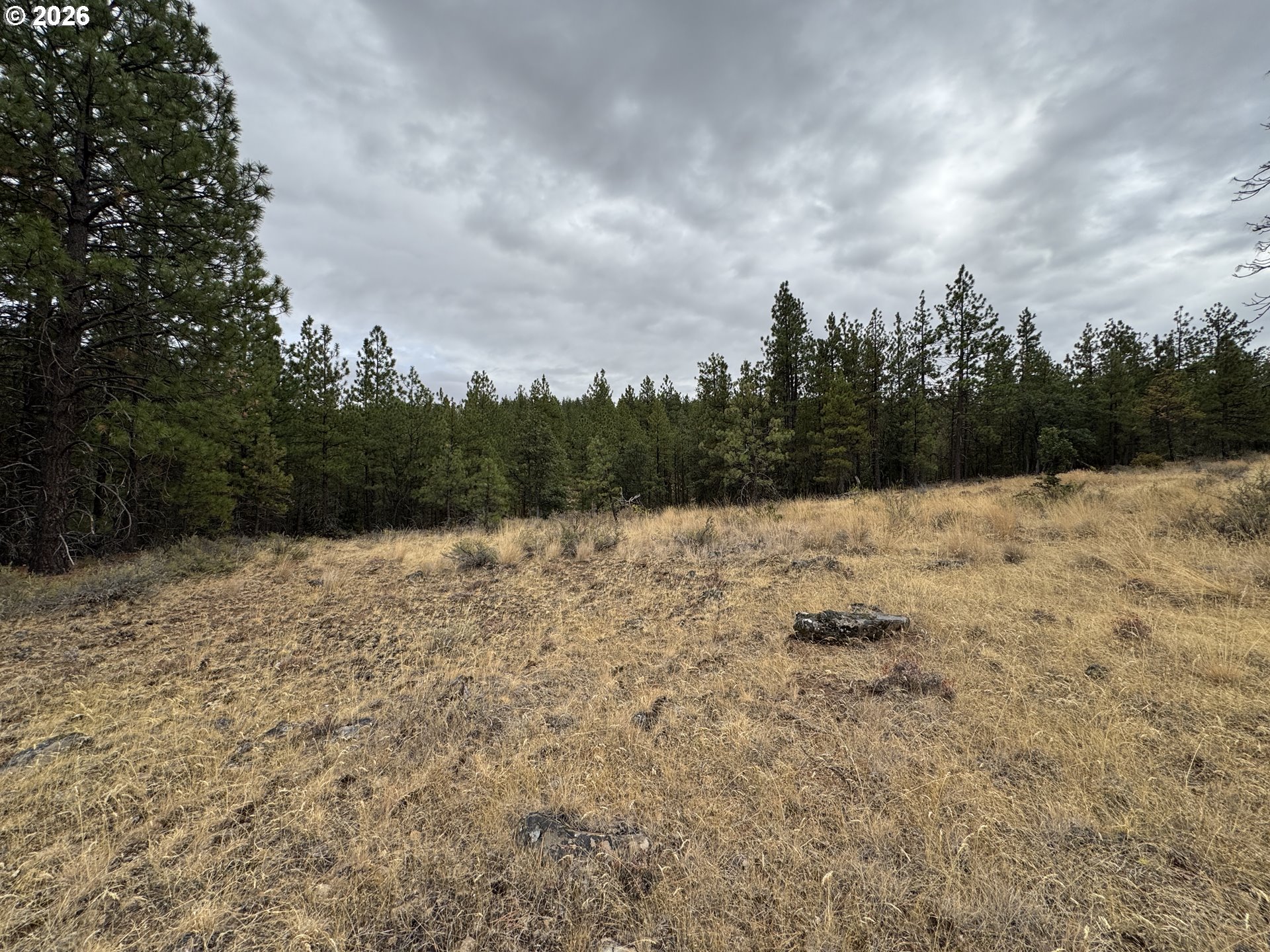 Fireline Property Photo 19