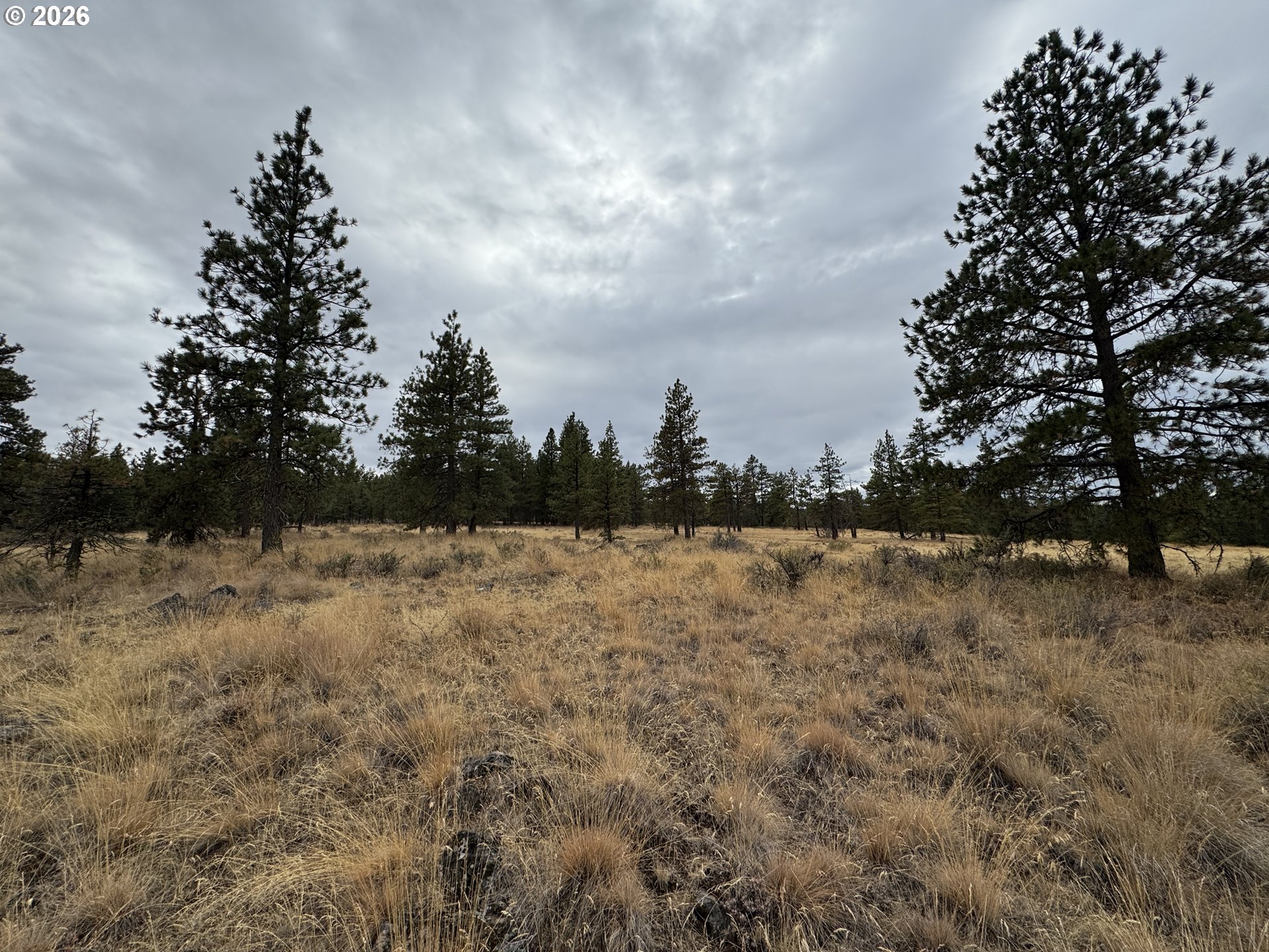Fireline Property Photo 20