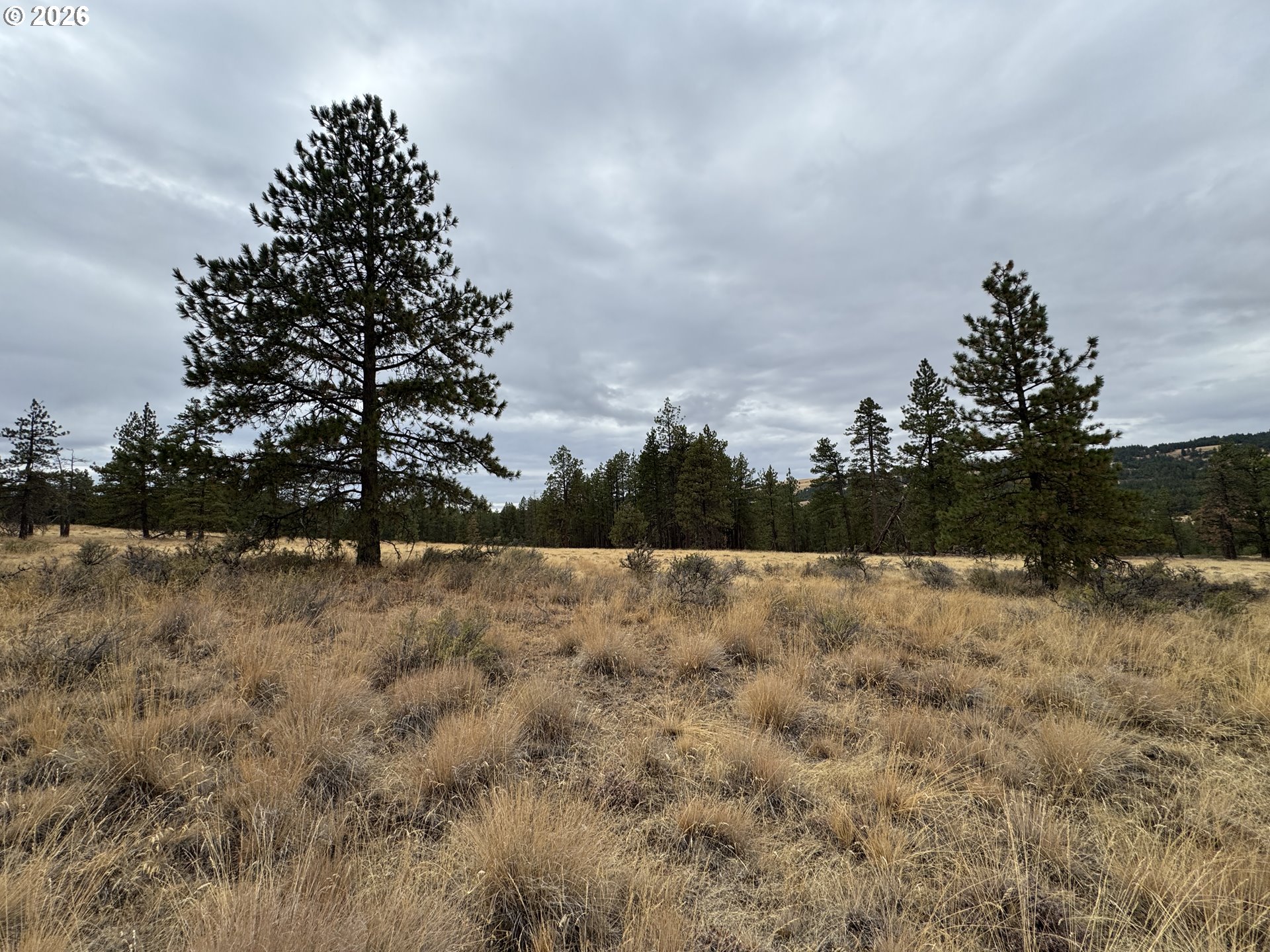 Fireline Property Photo 21